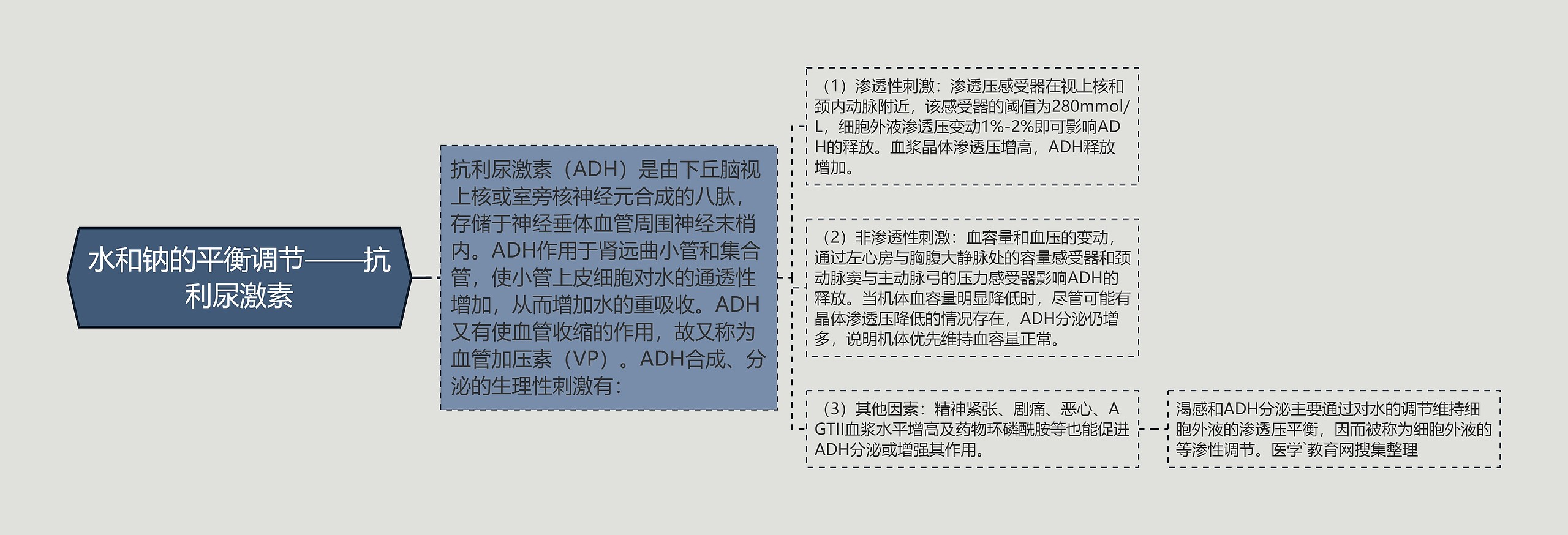 水和钠的平衡调节——抗利尿激素 水和钠的平衡调节——抗利尿激素