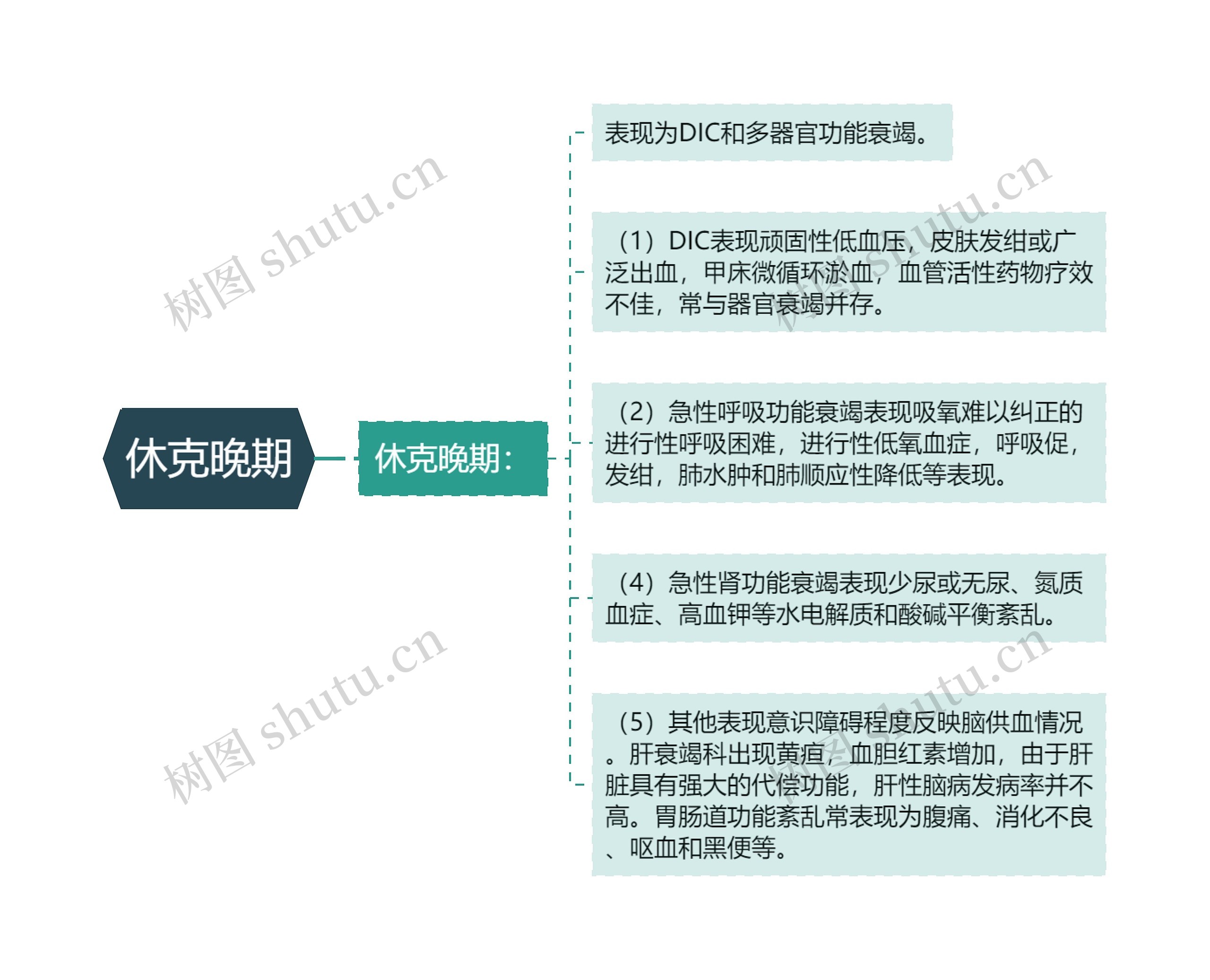 休克晚期