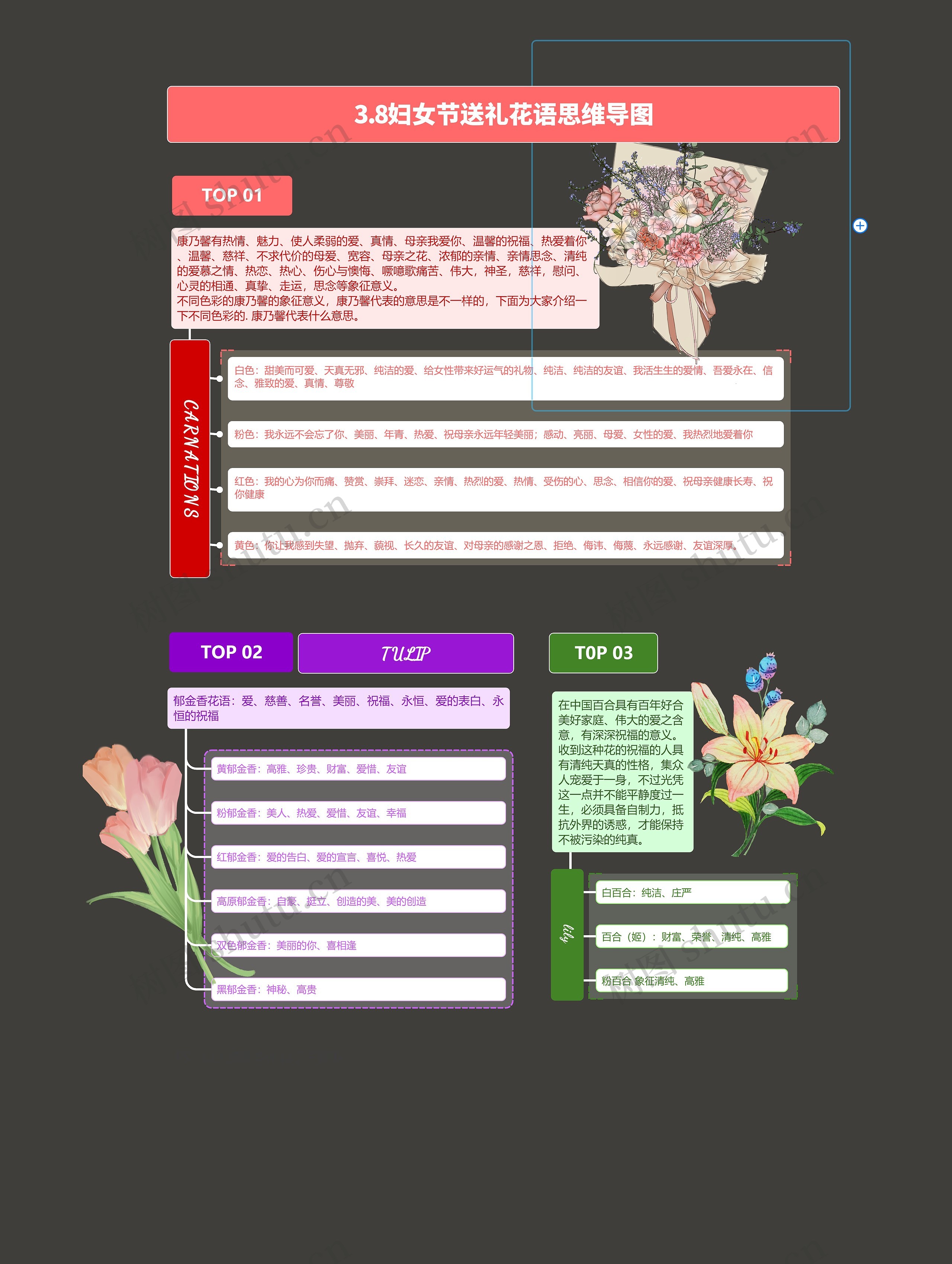 3.8妇女节送礼花语思维导图