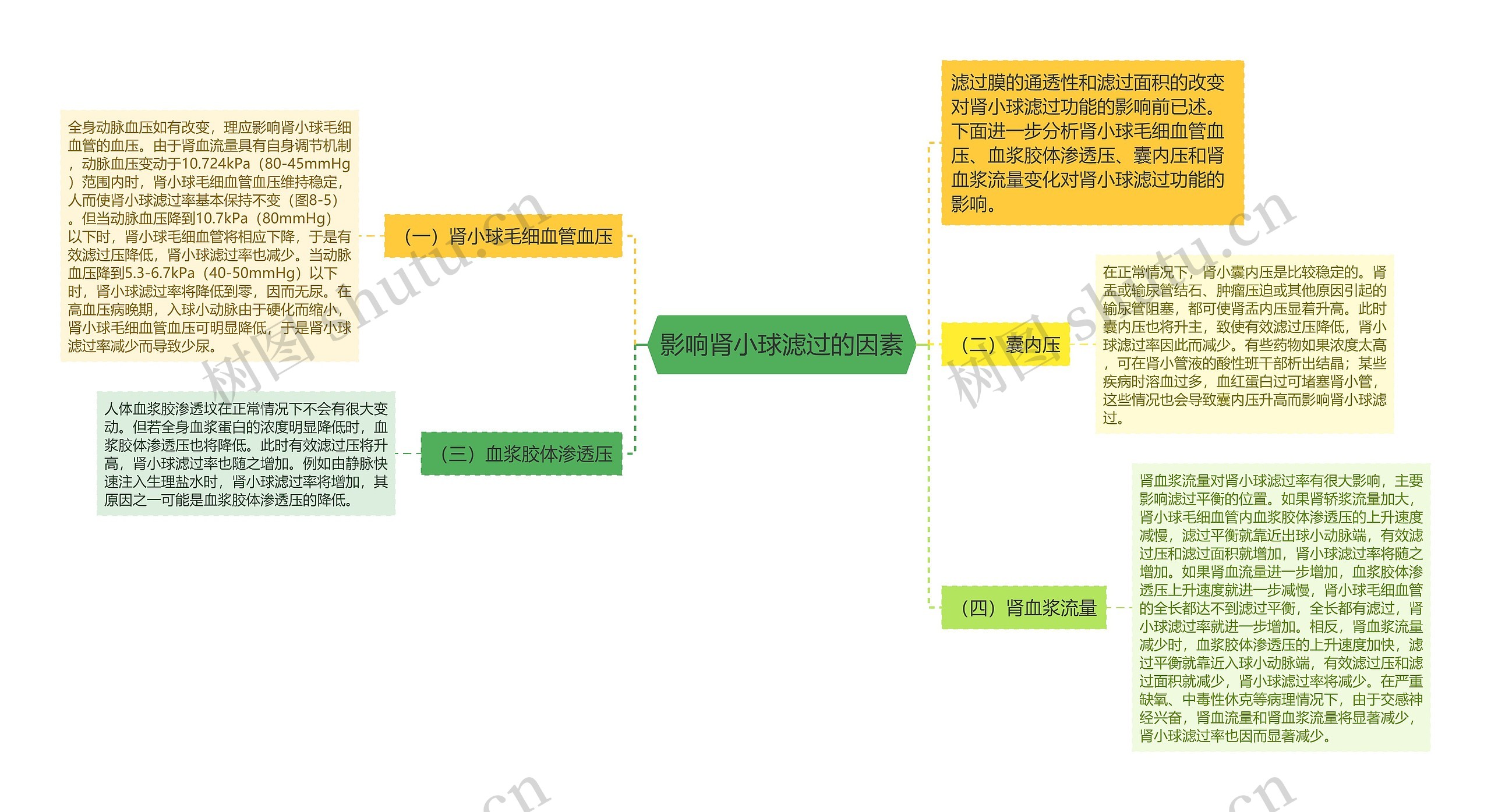 影响肾小球滤过的因素思维导图