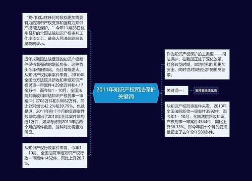 2011年知识产权司法保护关键词