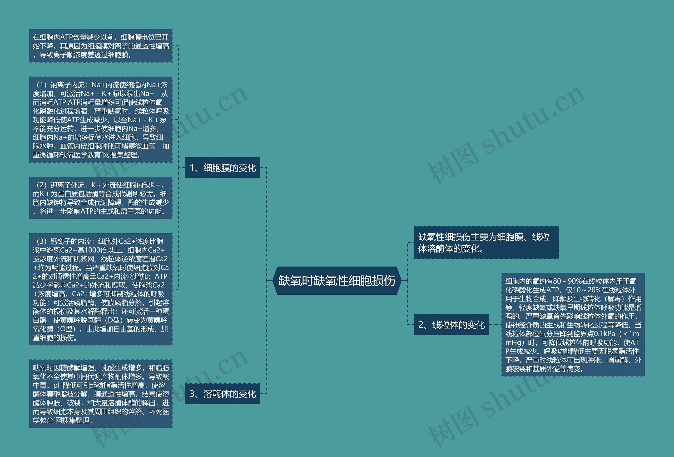 缺氧时缺氧性细胞损伤思维导图