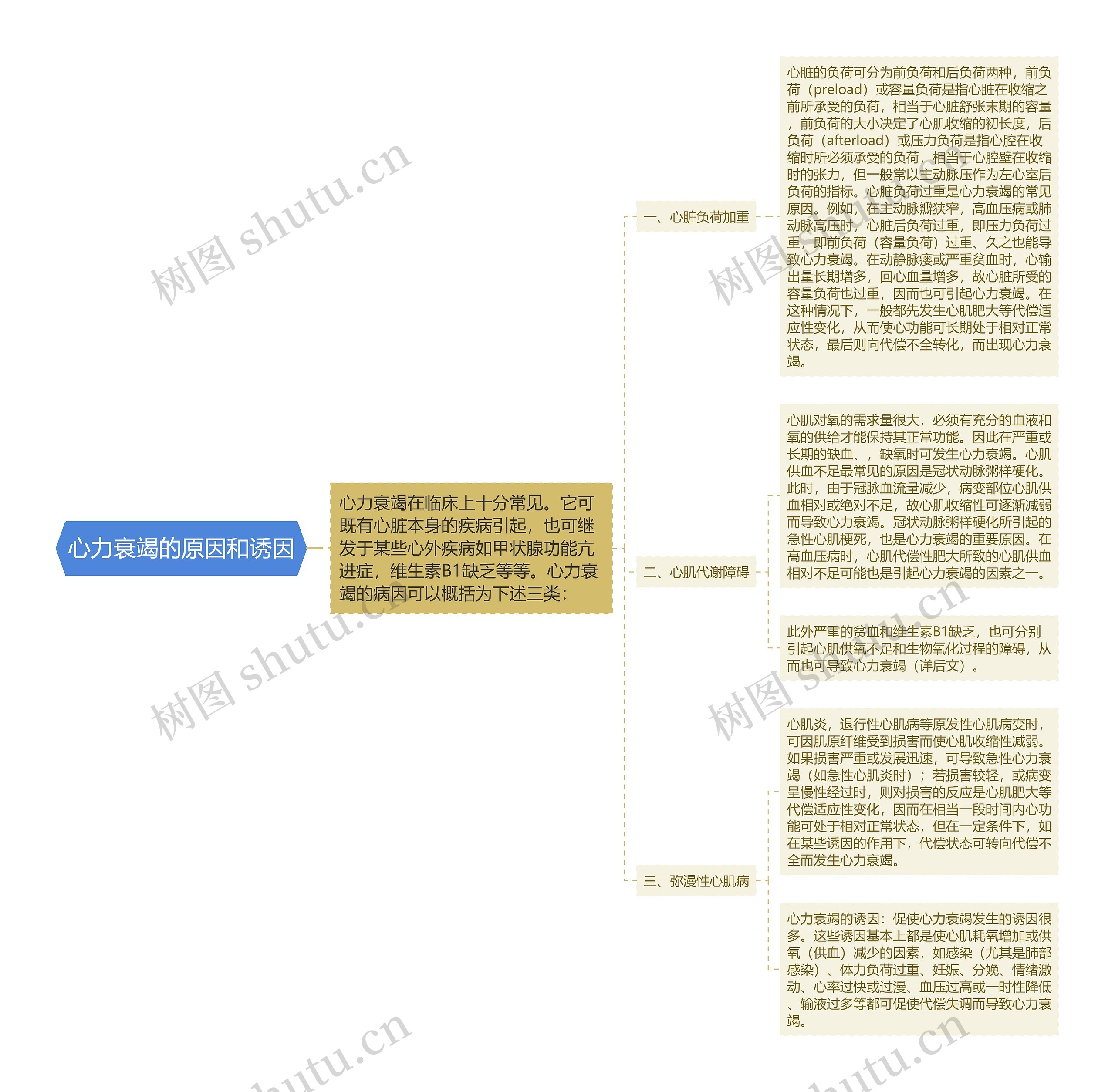 心力衰竭的原因和诱因思维导图