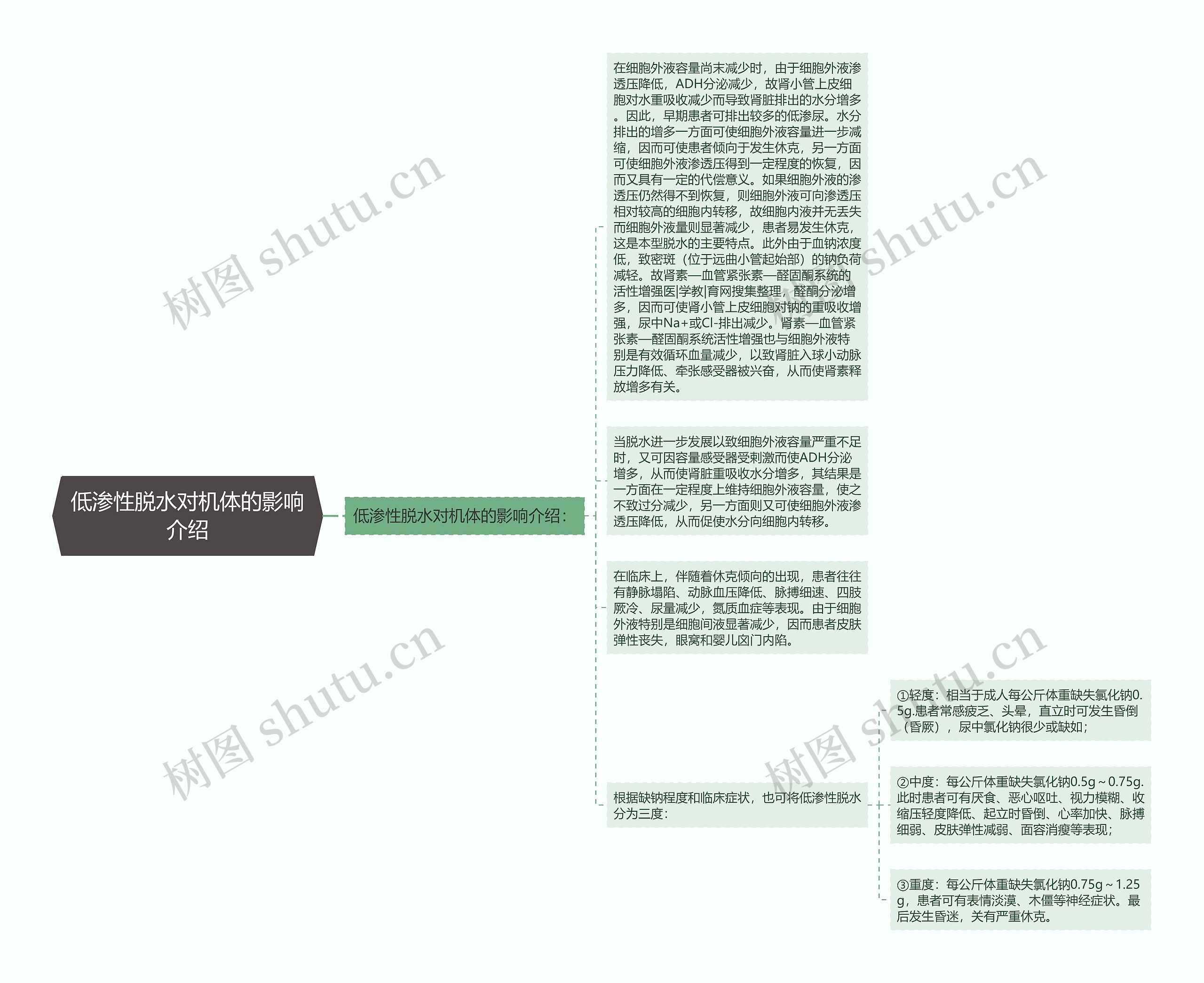 低渗性脱水对机体的影响介绍思维导图