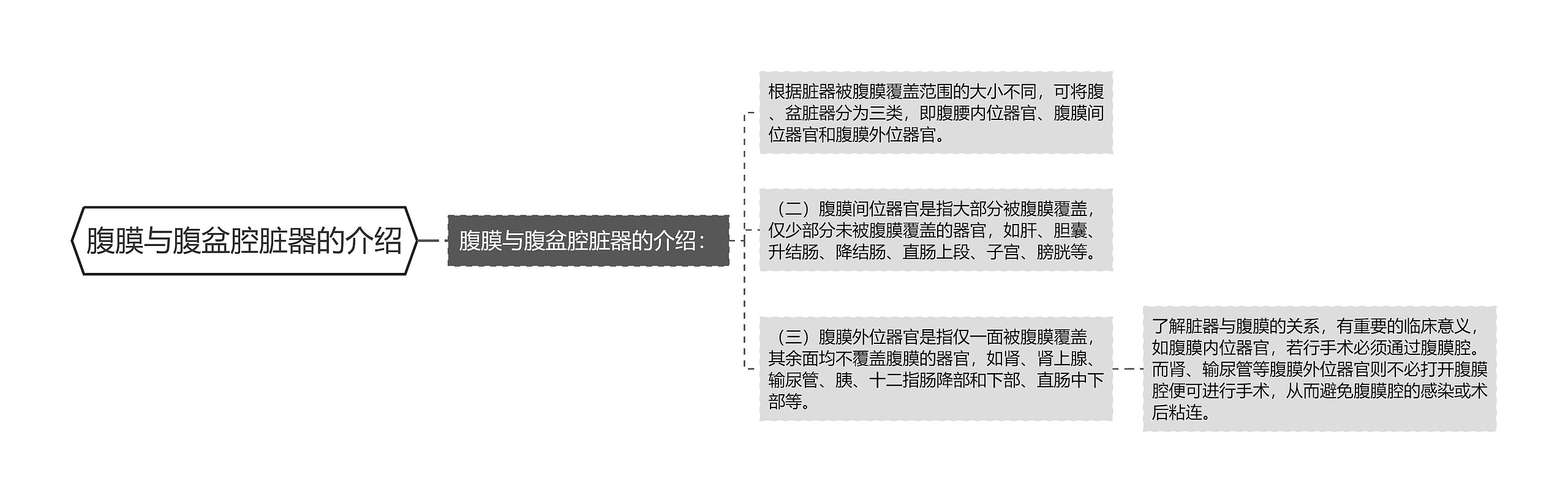 腹膜与腹盆腔脏器的介绍思维导图