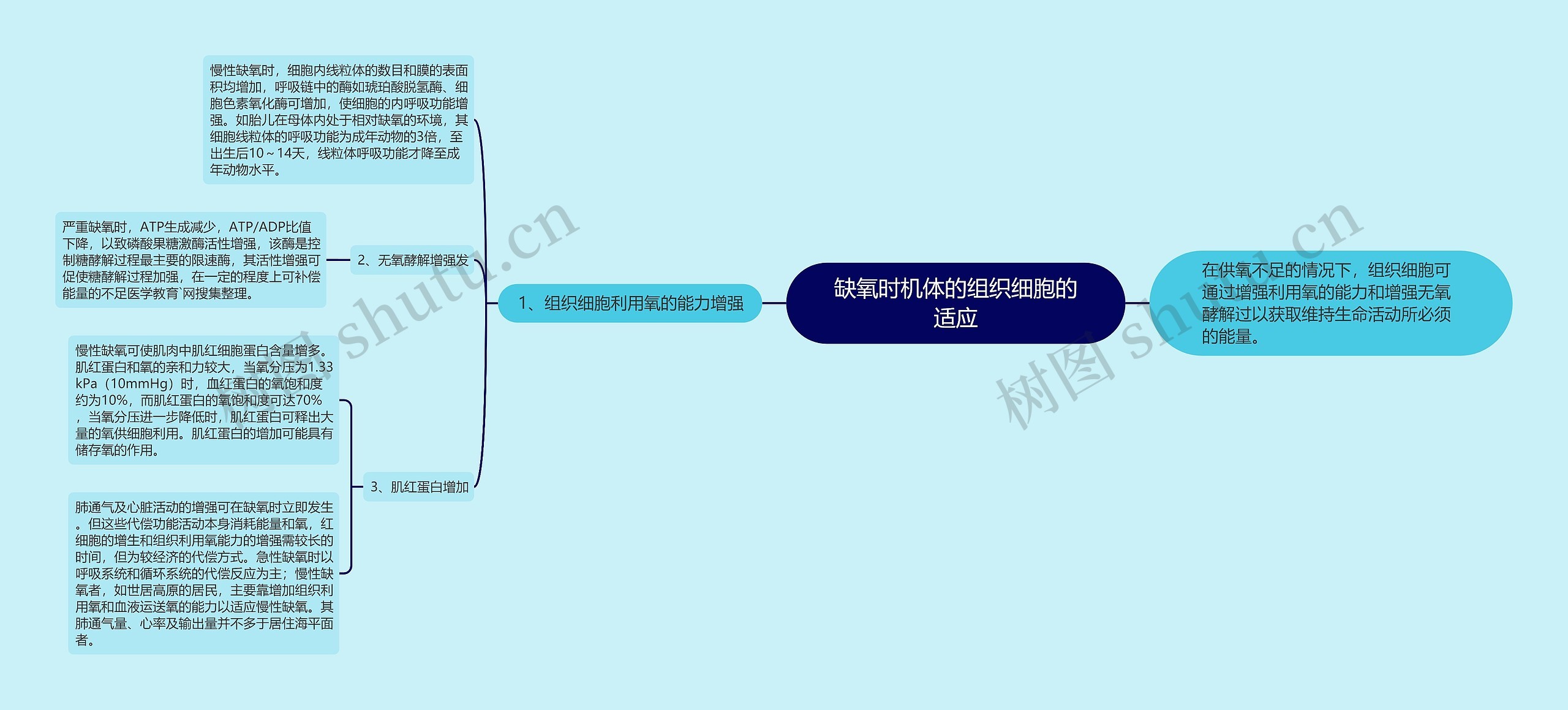 缺氧时机体的组织细胞的适应思维导图