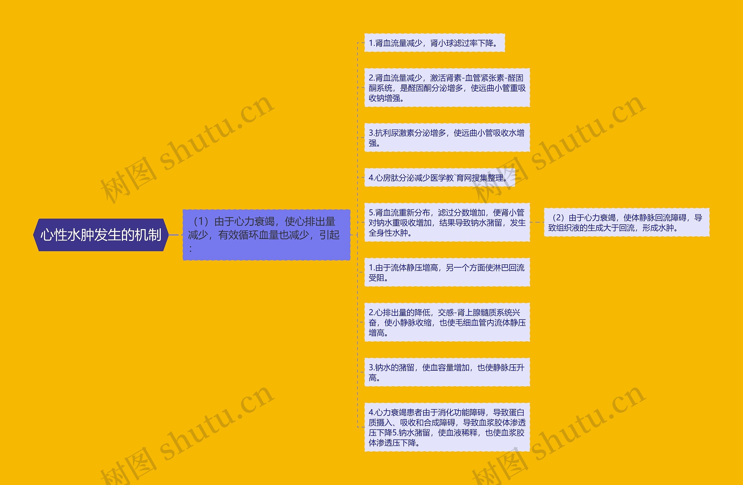 心性水肿发生的机制思维导图