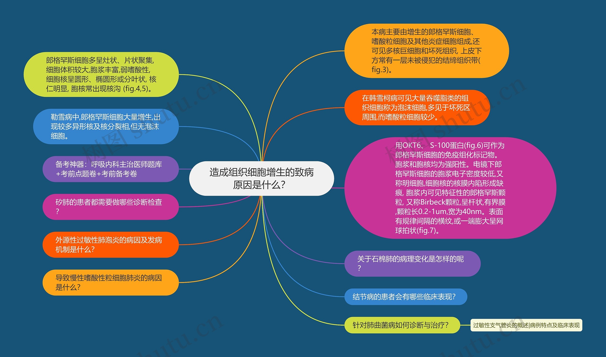 造成组织细胞增生的致病原因是什么？思维导图