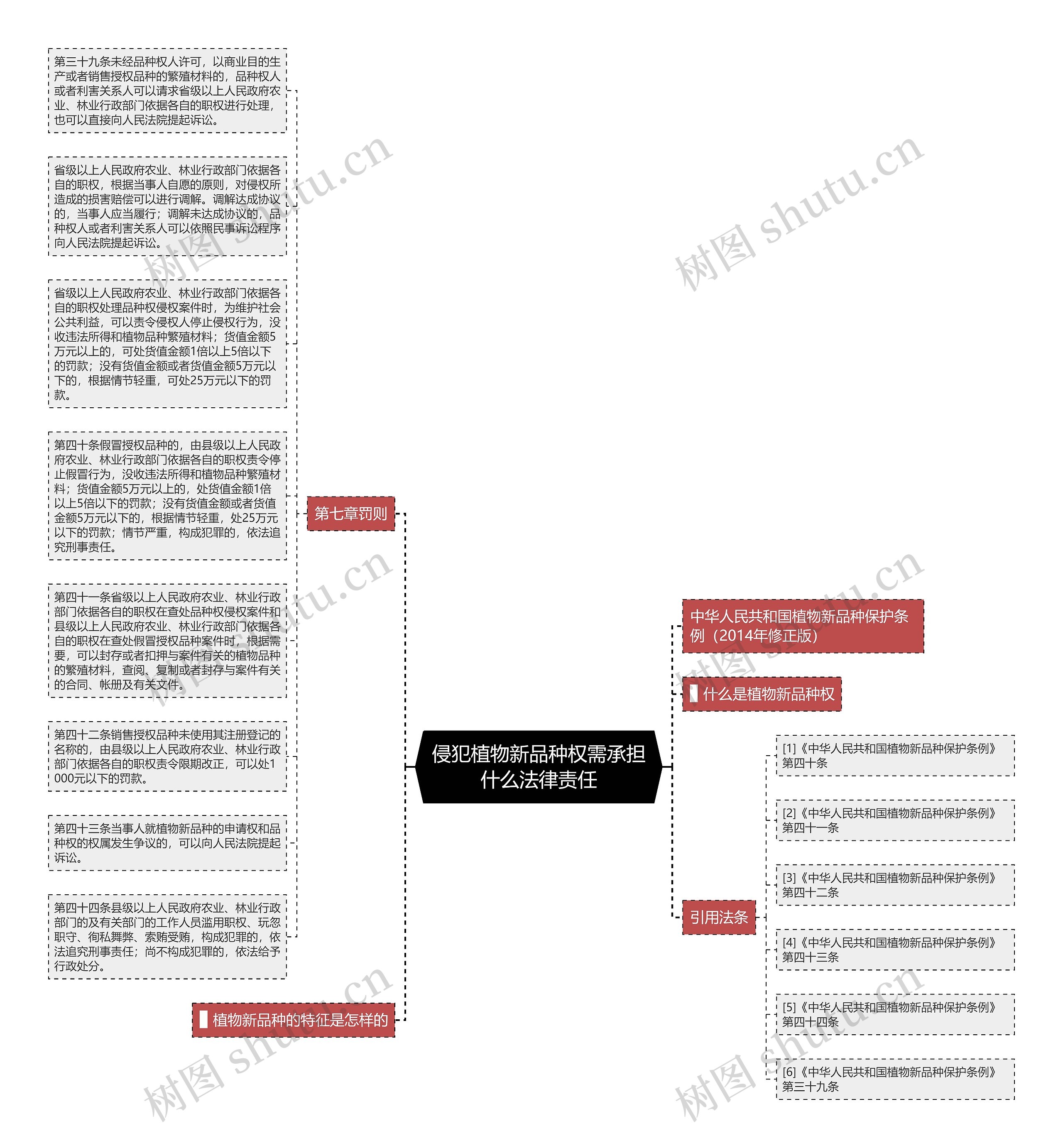 侵犯植物新品种权需承担什么法律责任思维导图