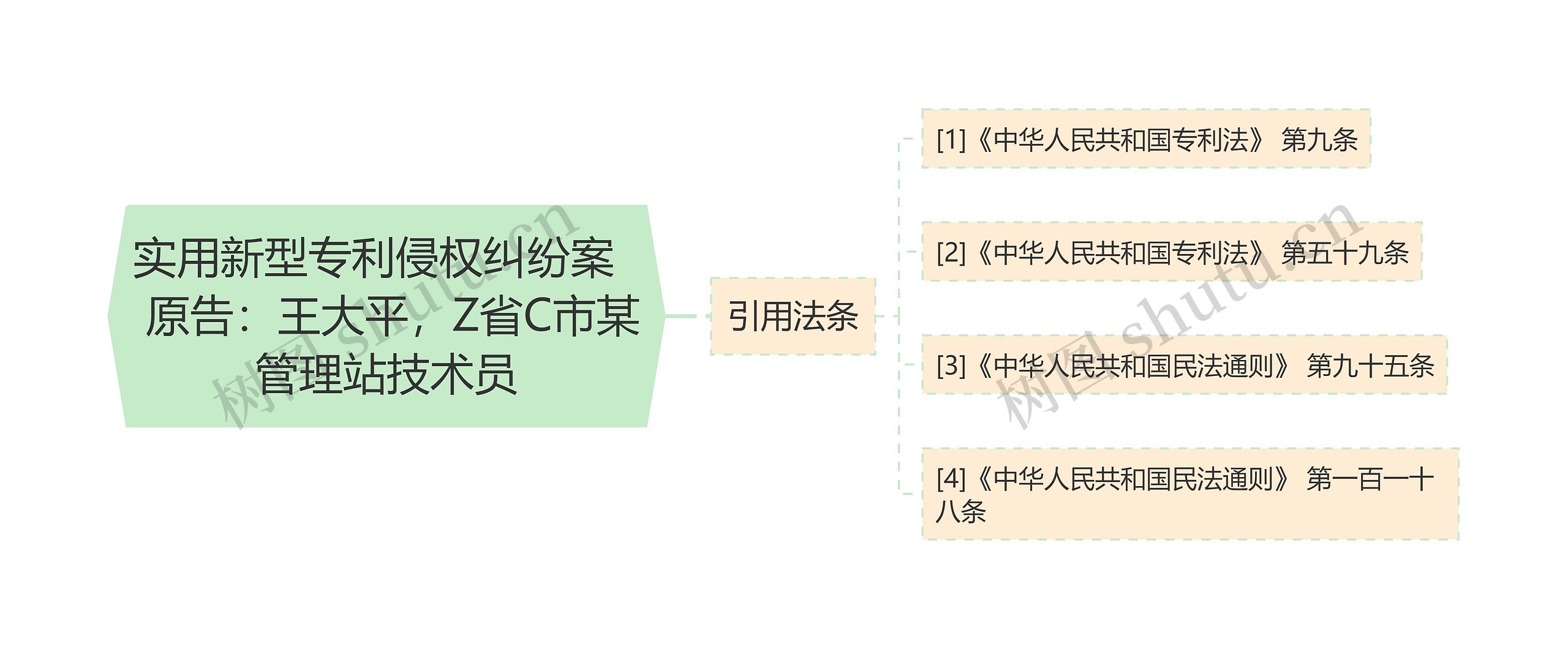 实用新型专利侵权纠纷案   原告：王大平，Z省C市某管理站技术员思维导图