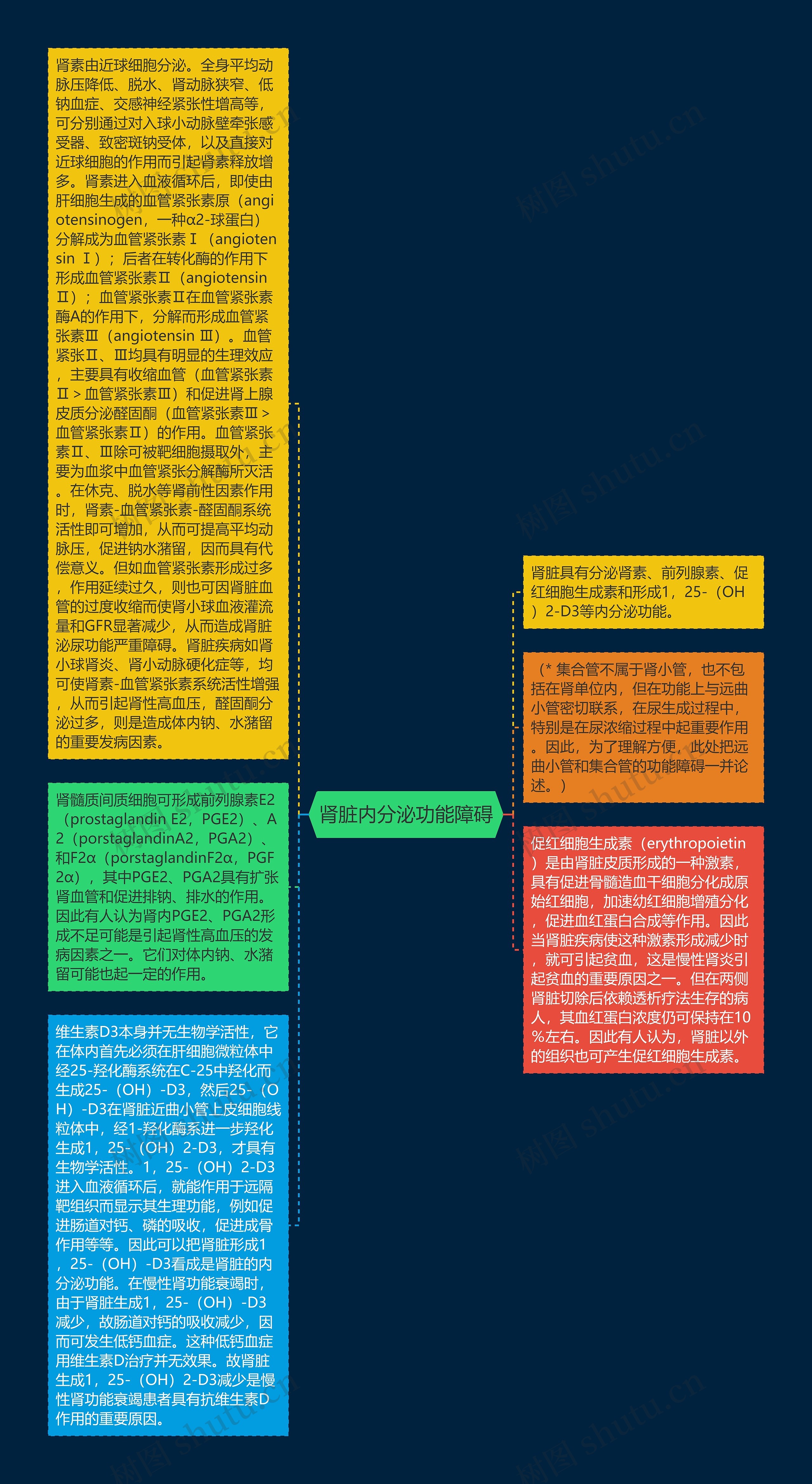 肾脏内分泌功能障碍思维导图