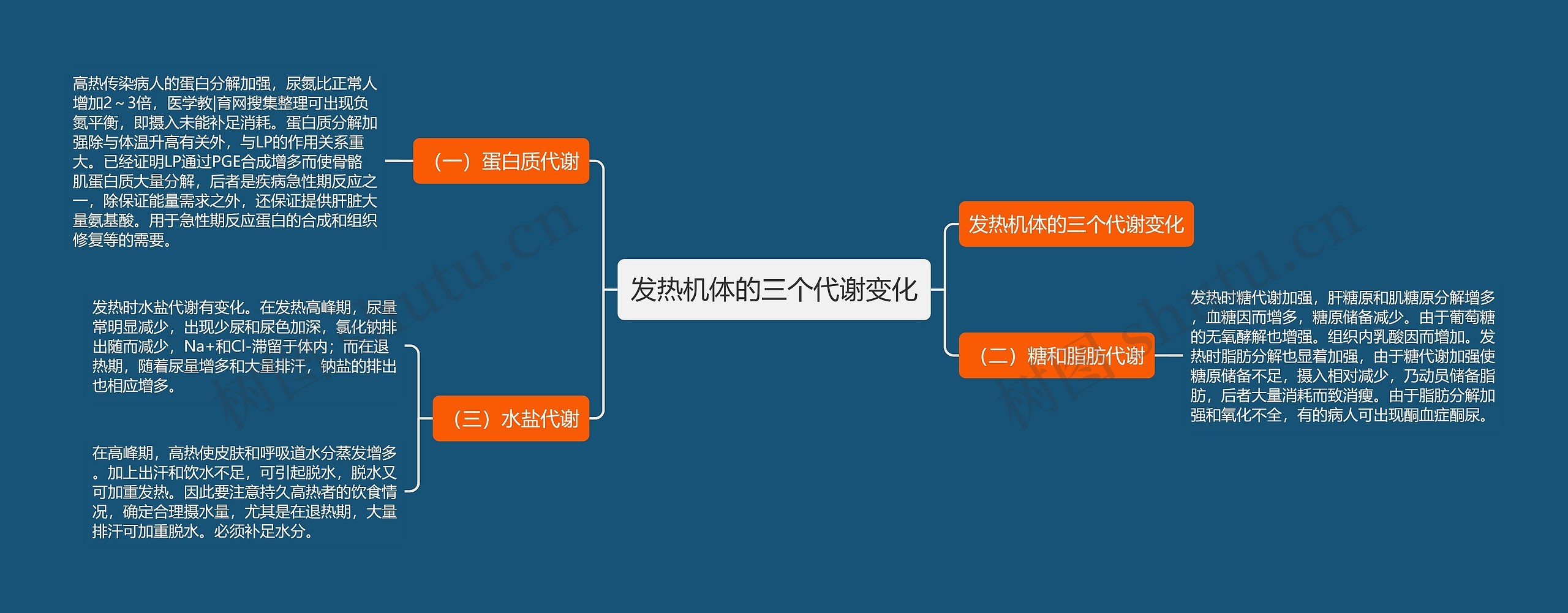 发热机体的三个代谢变化思维导图