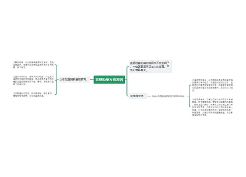 直肠脱垂发病原因