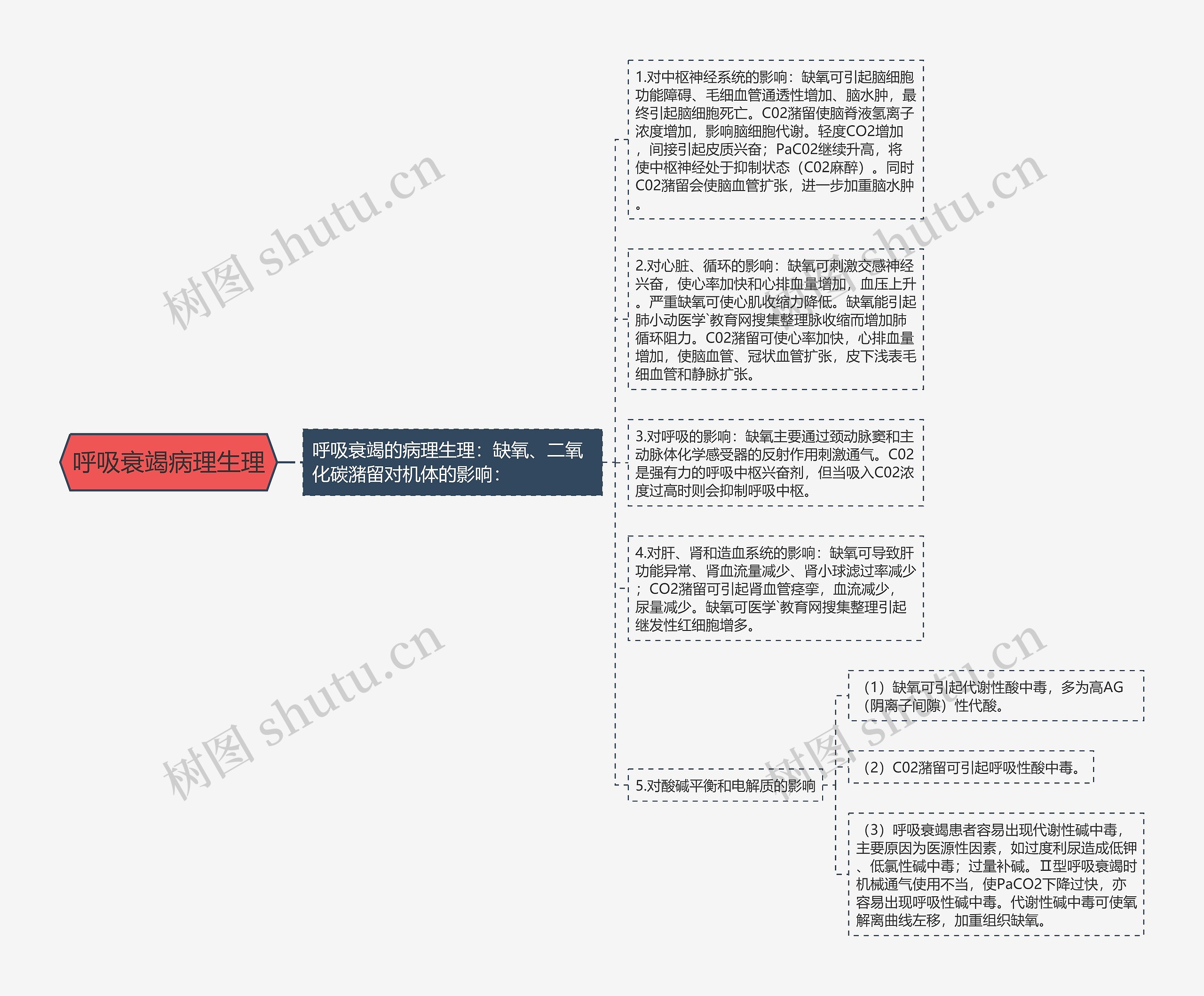 呼吸衰竭病理生理思维导图