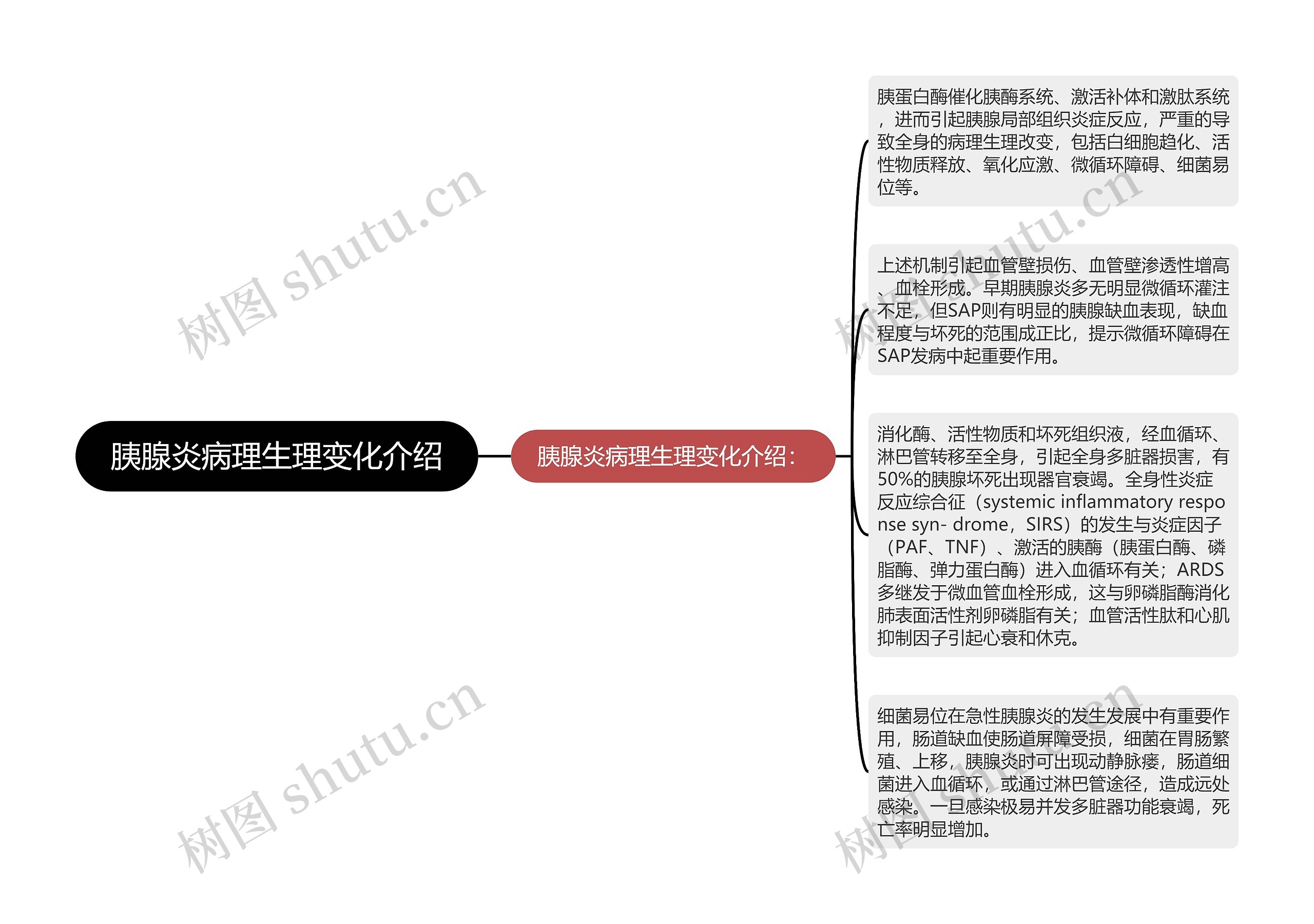 胰腺炎病理生理变化介绍