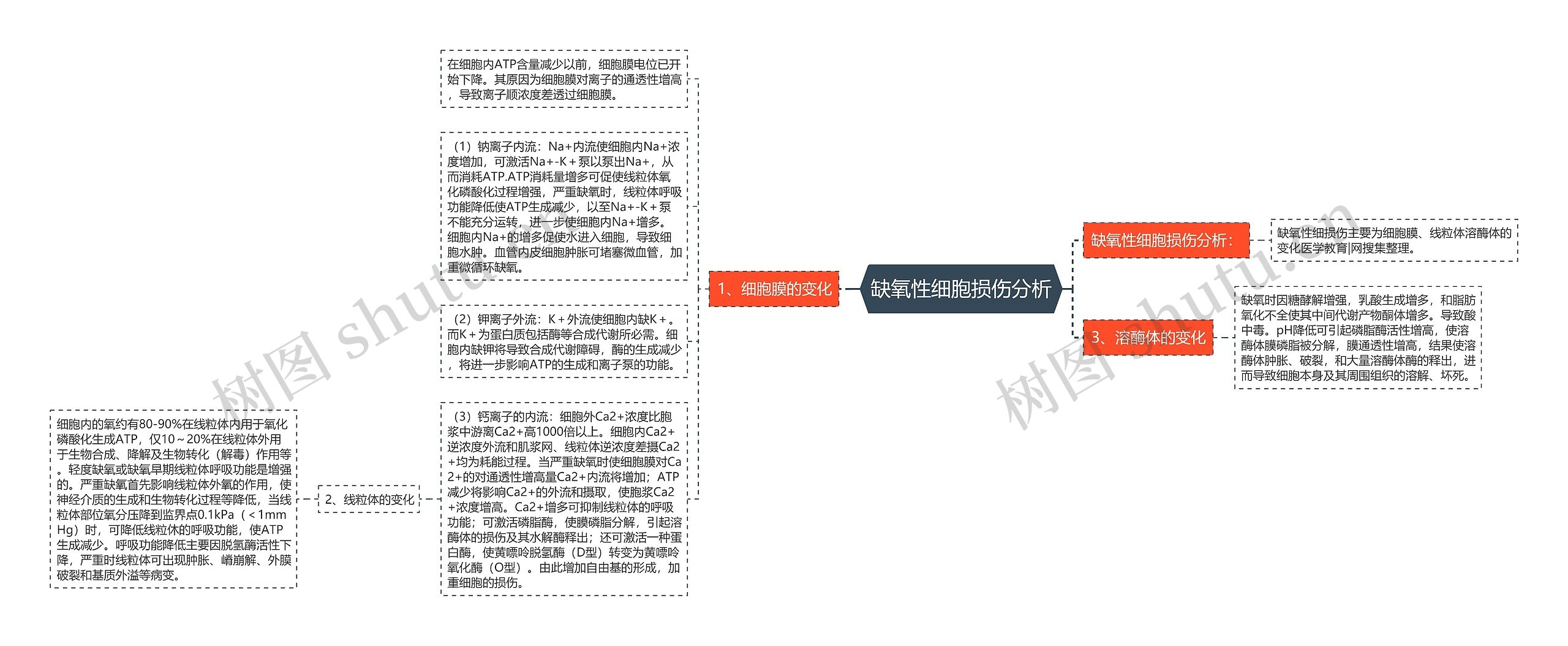 缺氧性细胞损伤分析思维导图