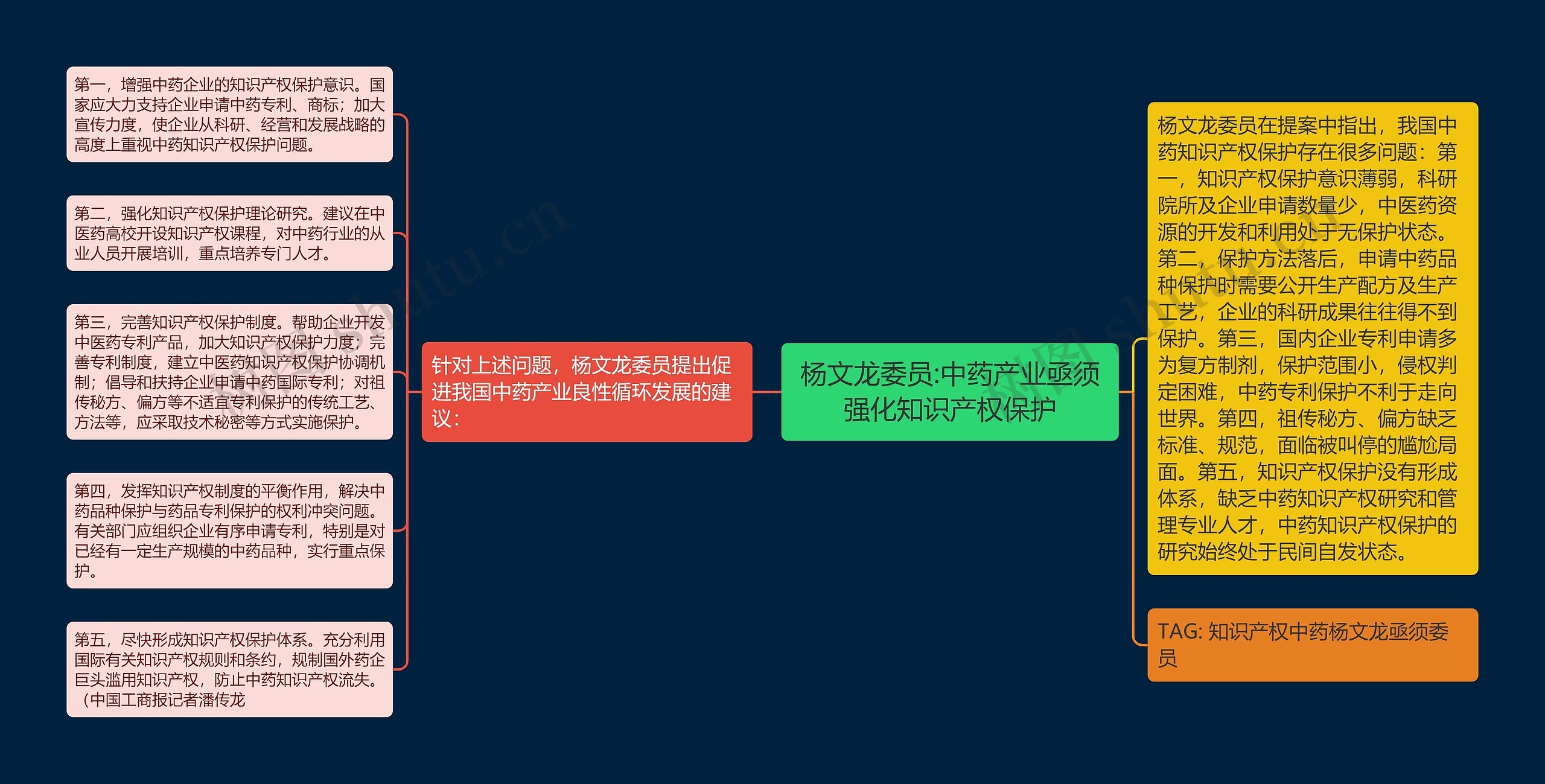 杨文龙委员:中药产业亟须强化知识产权保护思维导图