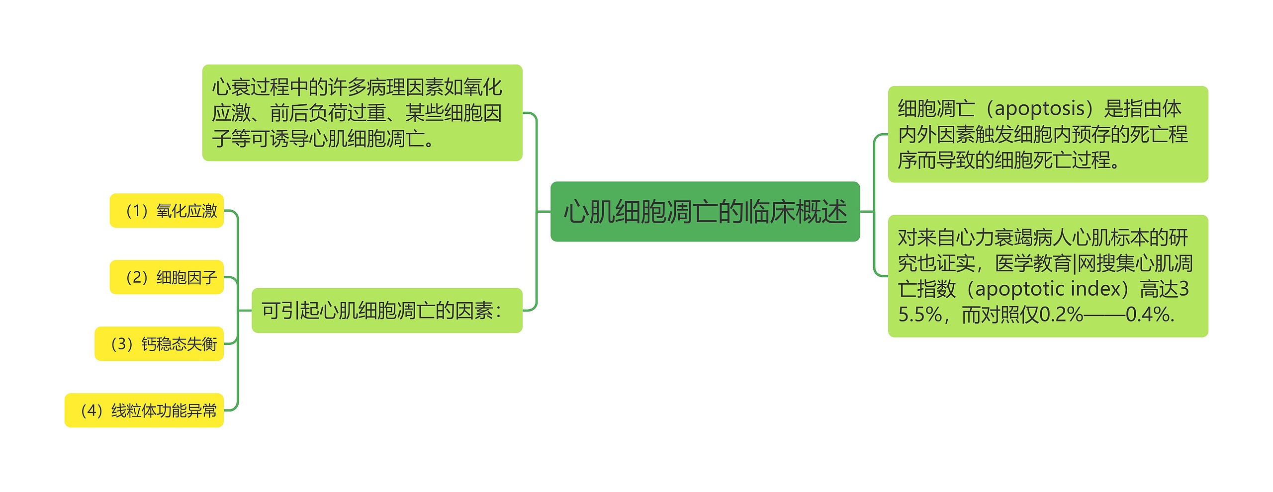 心肌细胞凋亡的临床概述