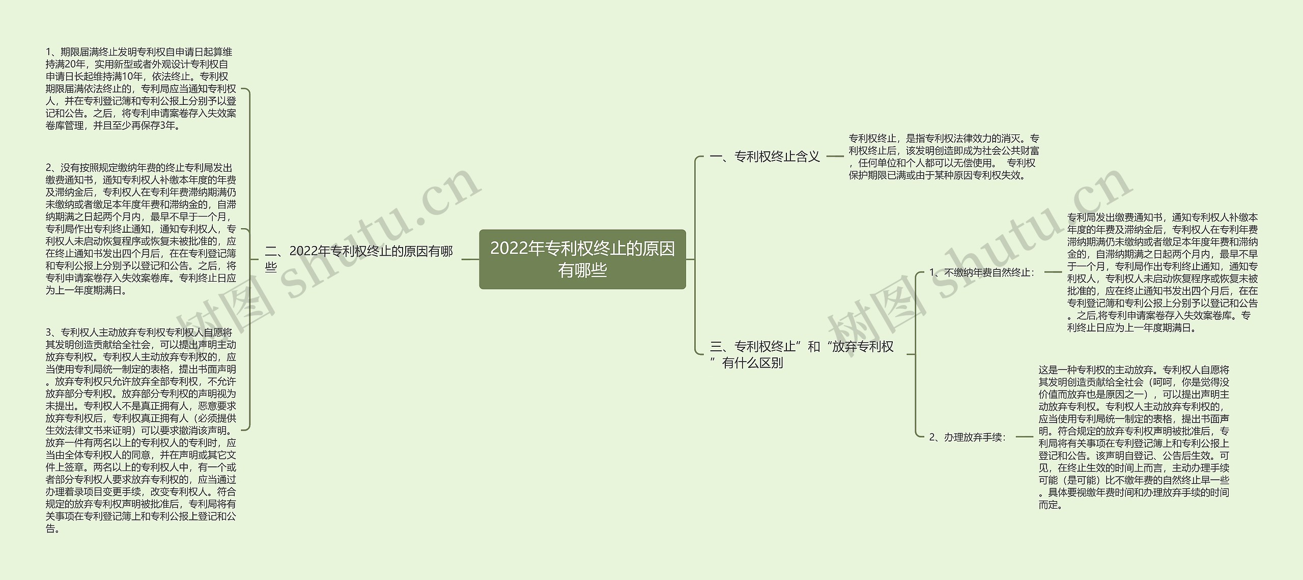 2022年专利权终止的原因有哪些思维导图