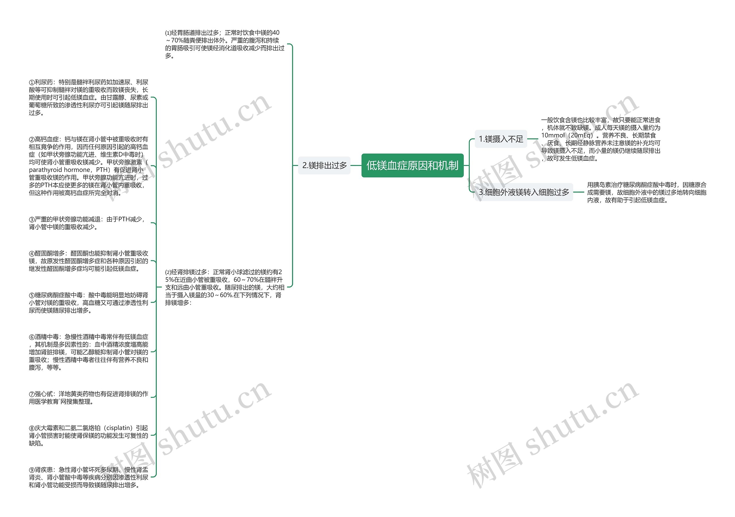 低镁血症原因和机制思维导图