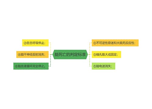 脑死亡的判定标准