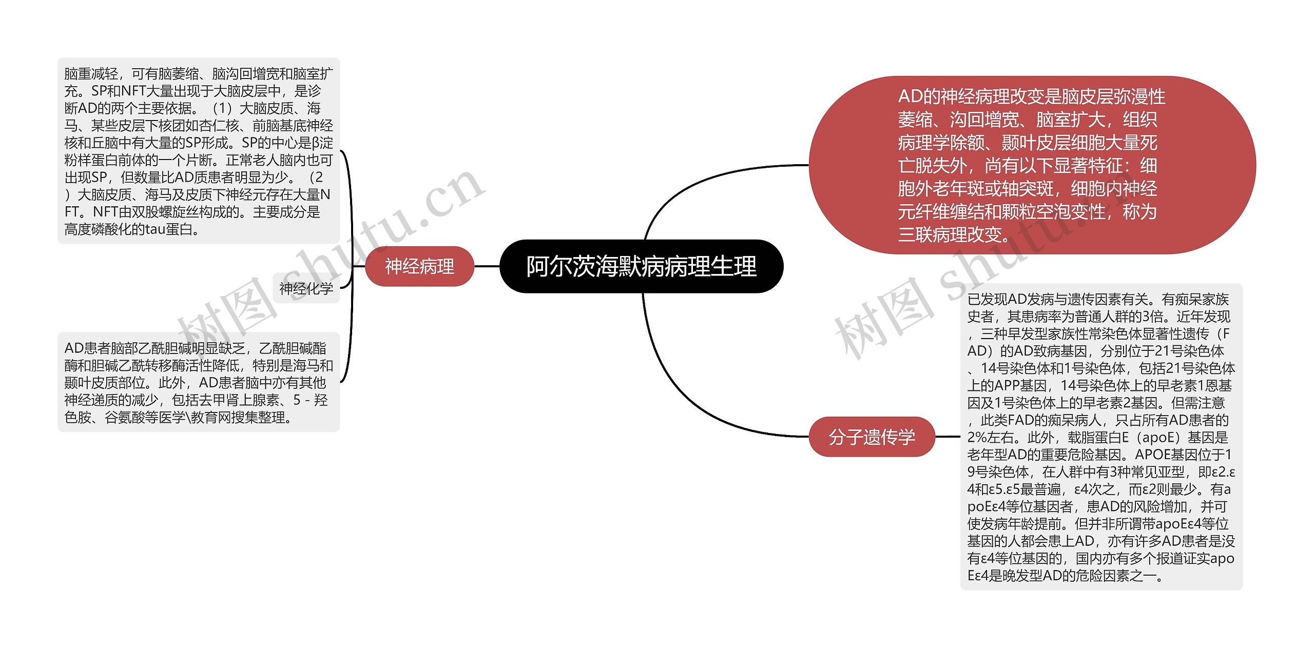 阿尔茨海默病病理生理