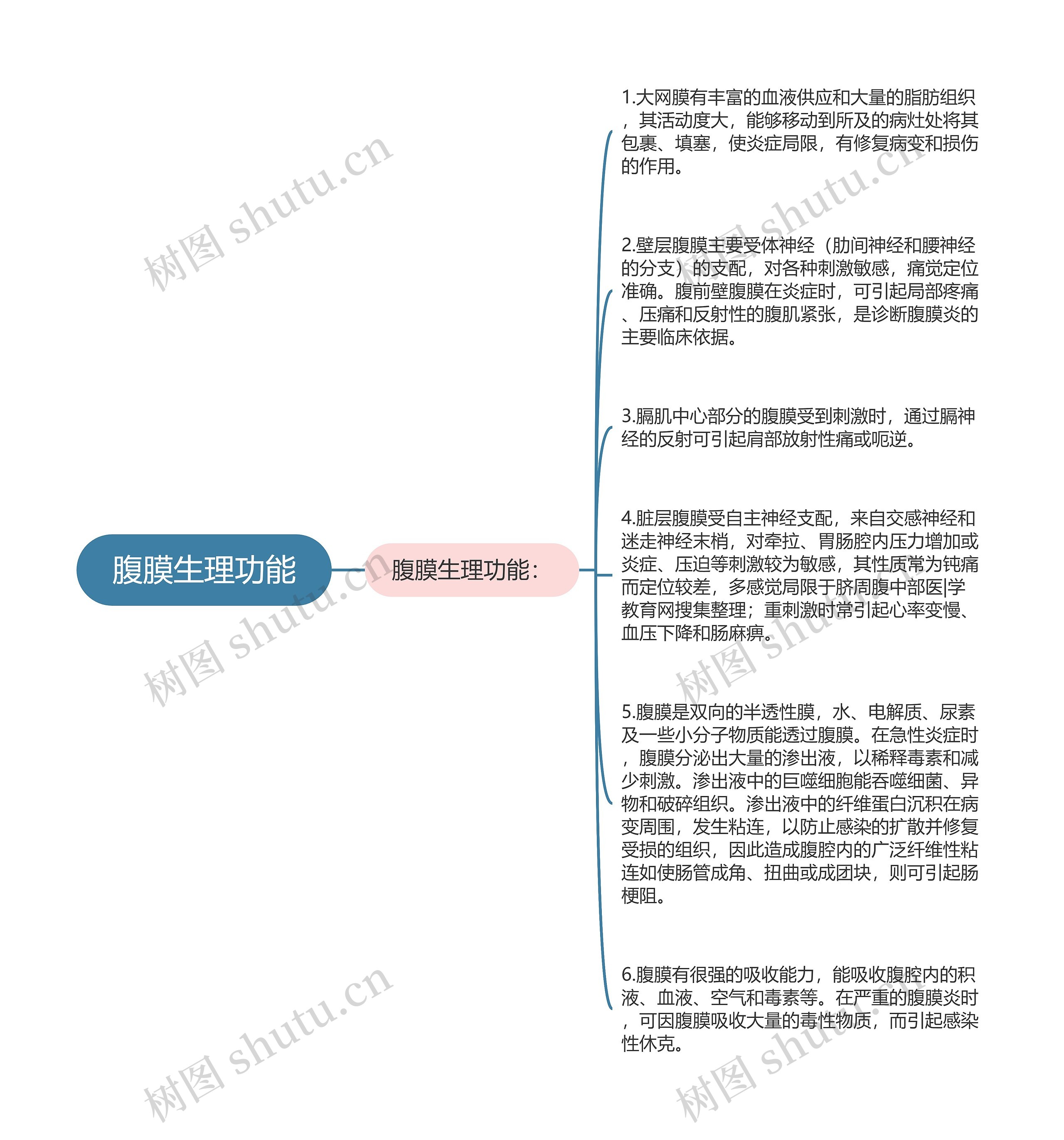 腹膜生理功能思维导图