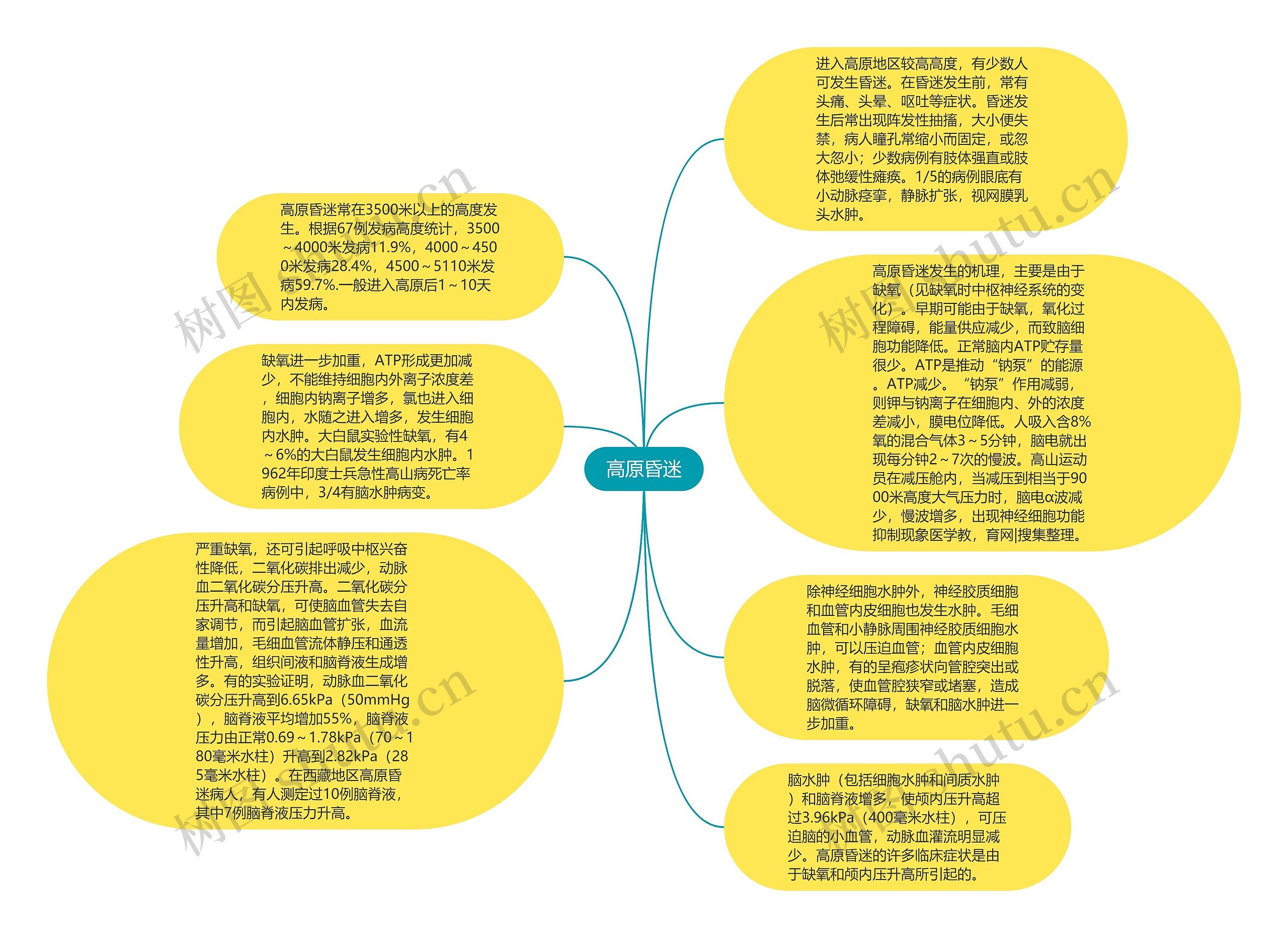 高原昏迷思维导图