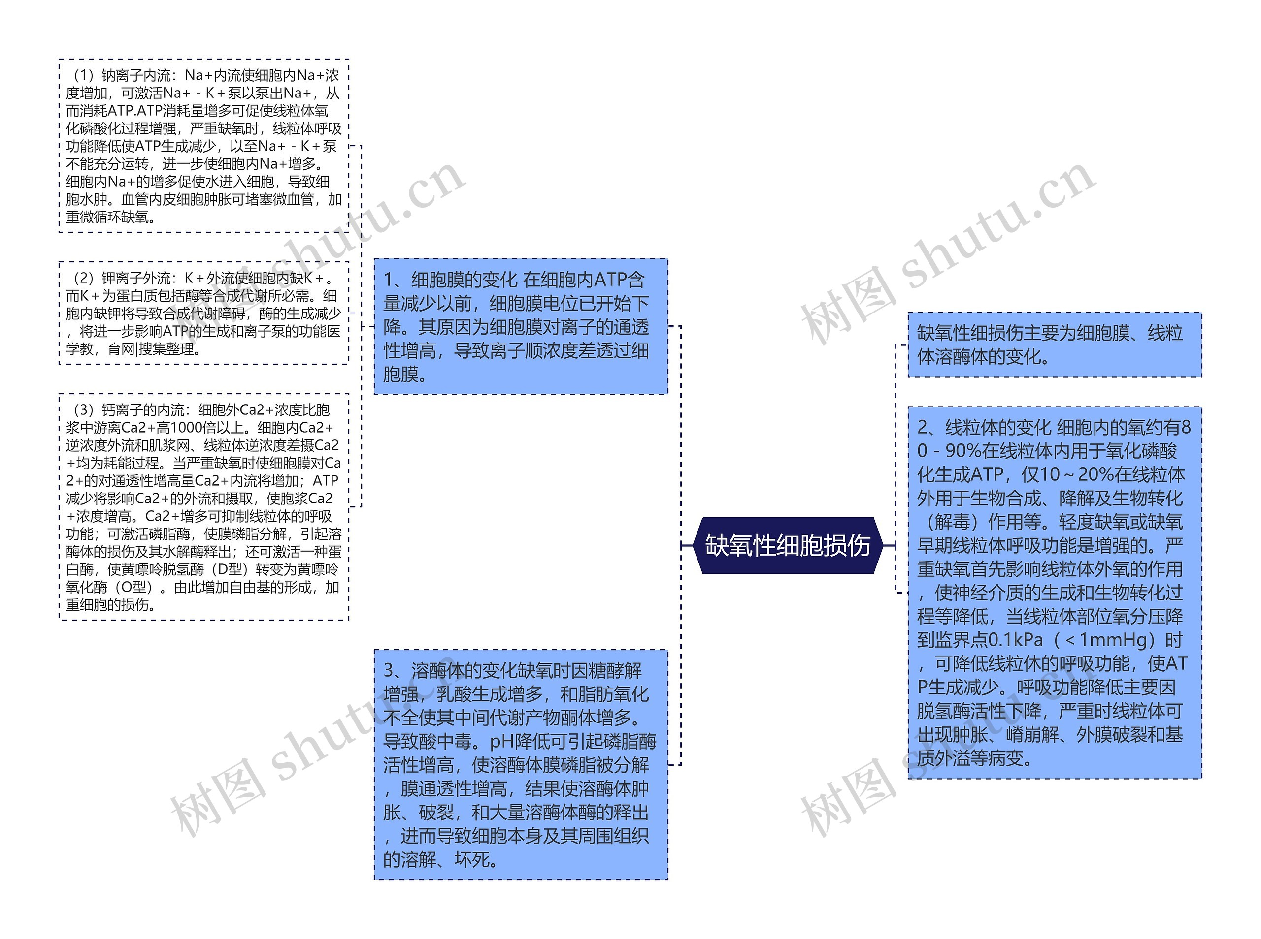 缺氧性细胞损伤思维导图