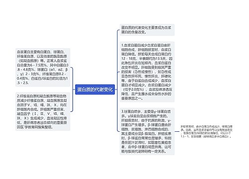 蛋白质的代谢变化