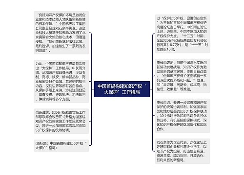 中国首提构建知识产权“大保护”工作格局