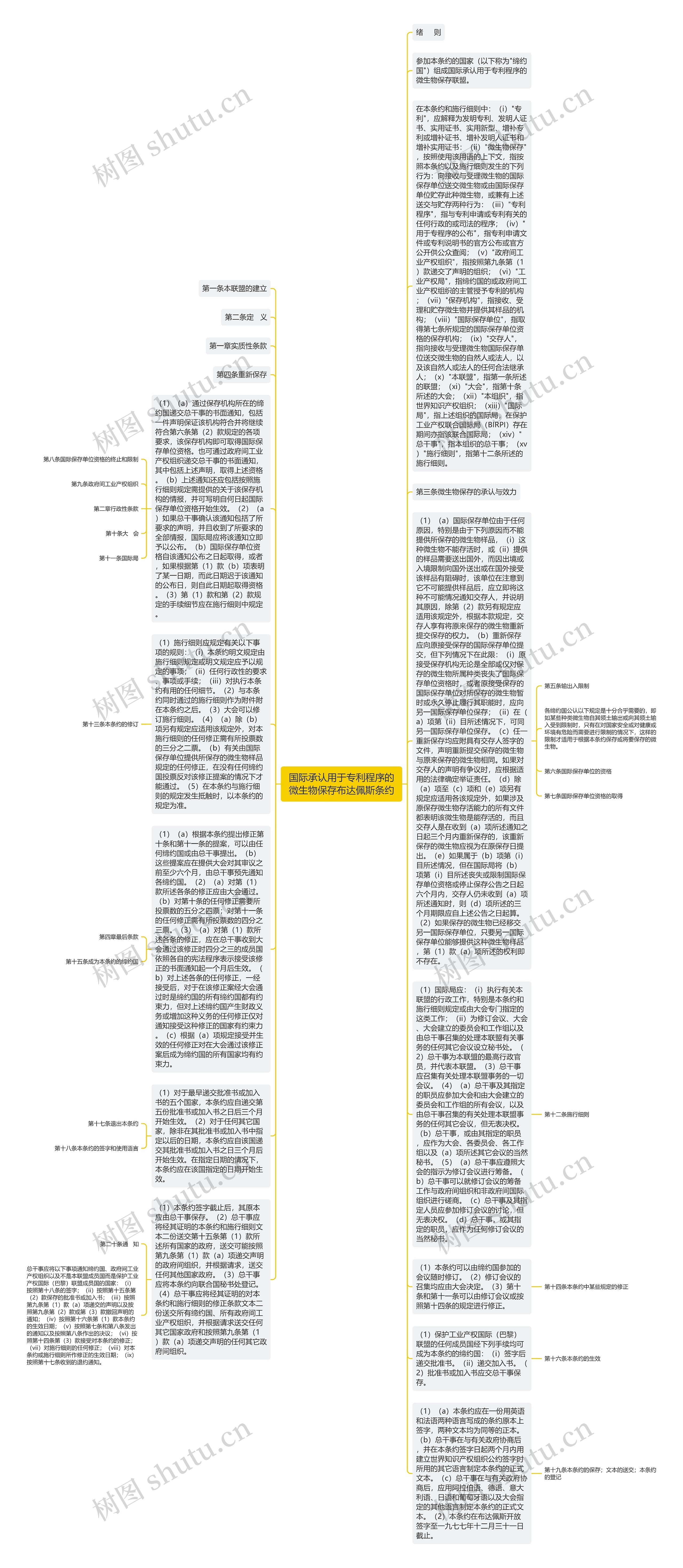 国际承认用于专利程序的微生物保存布达佩斯条约思维导图