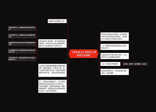 【专利独占】专利权人具有独占实施权