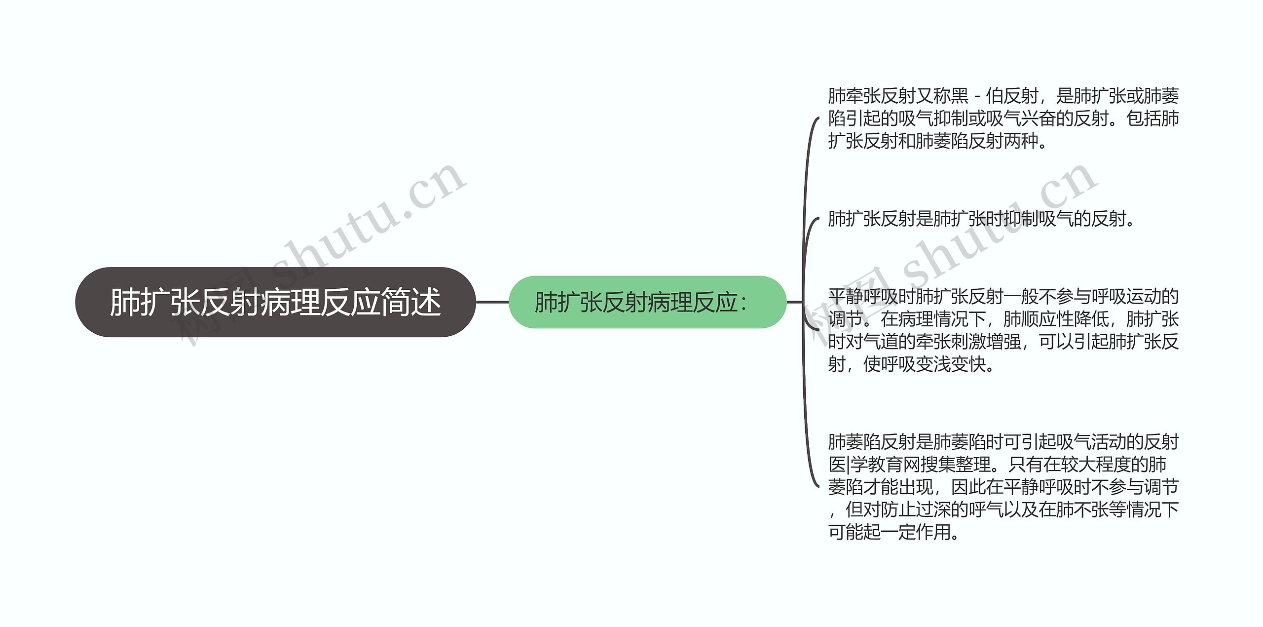 肺扩张反射病理反应简述思维导图