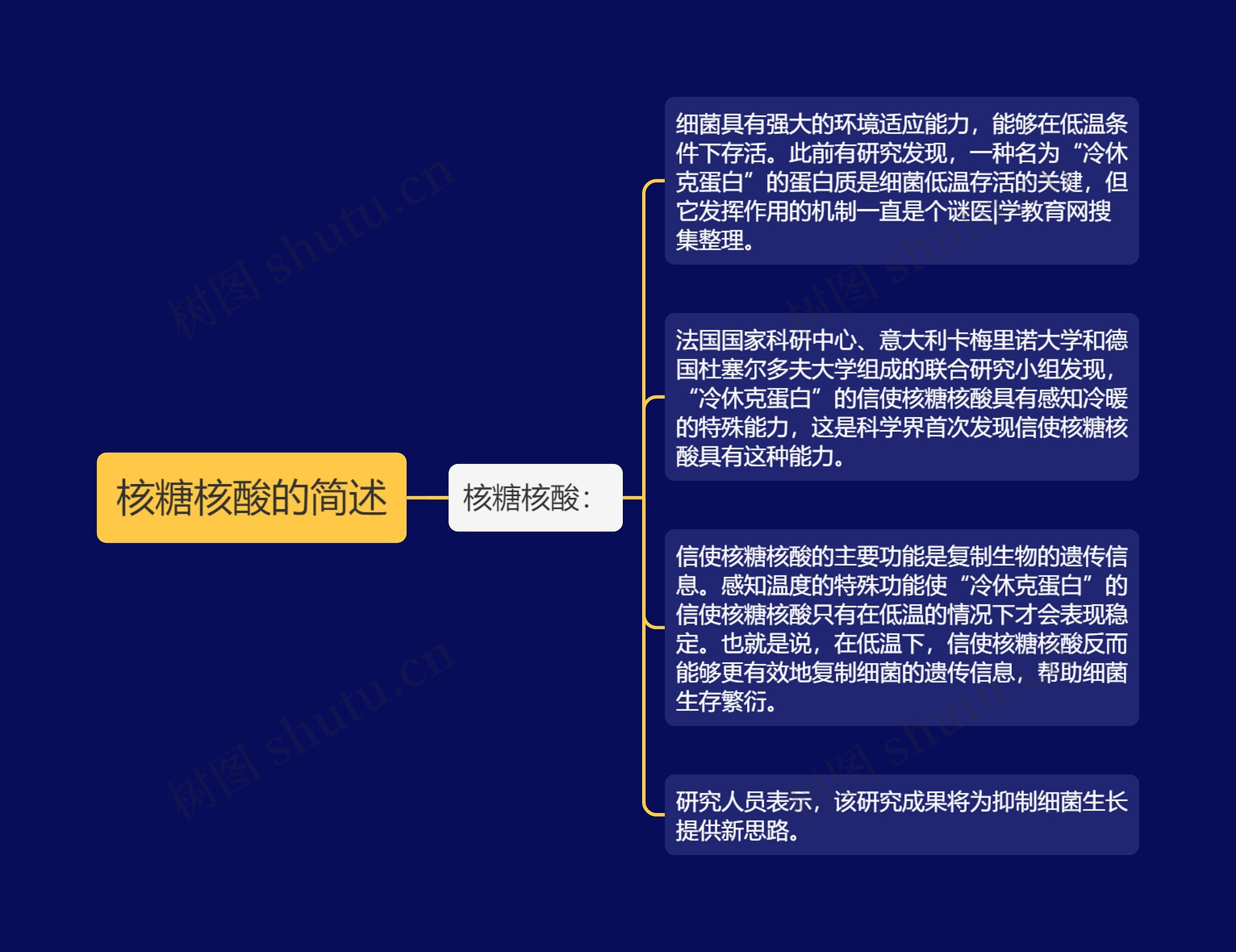 核糖核酸的简述思维导图