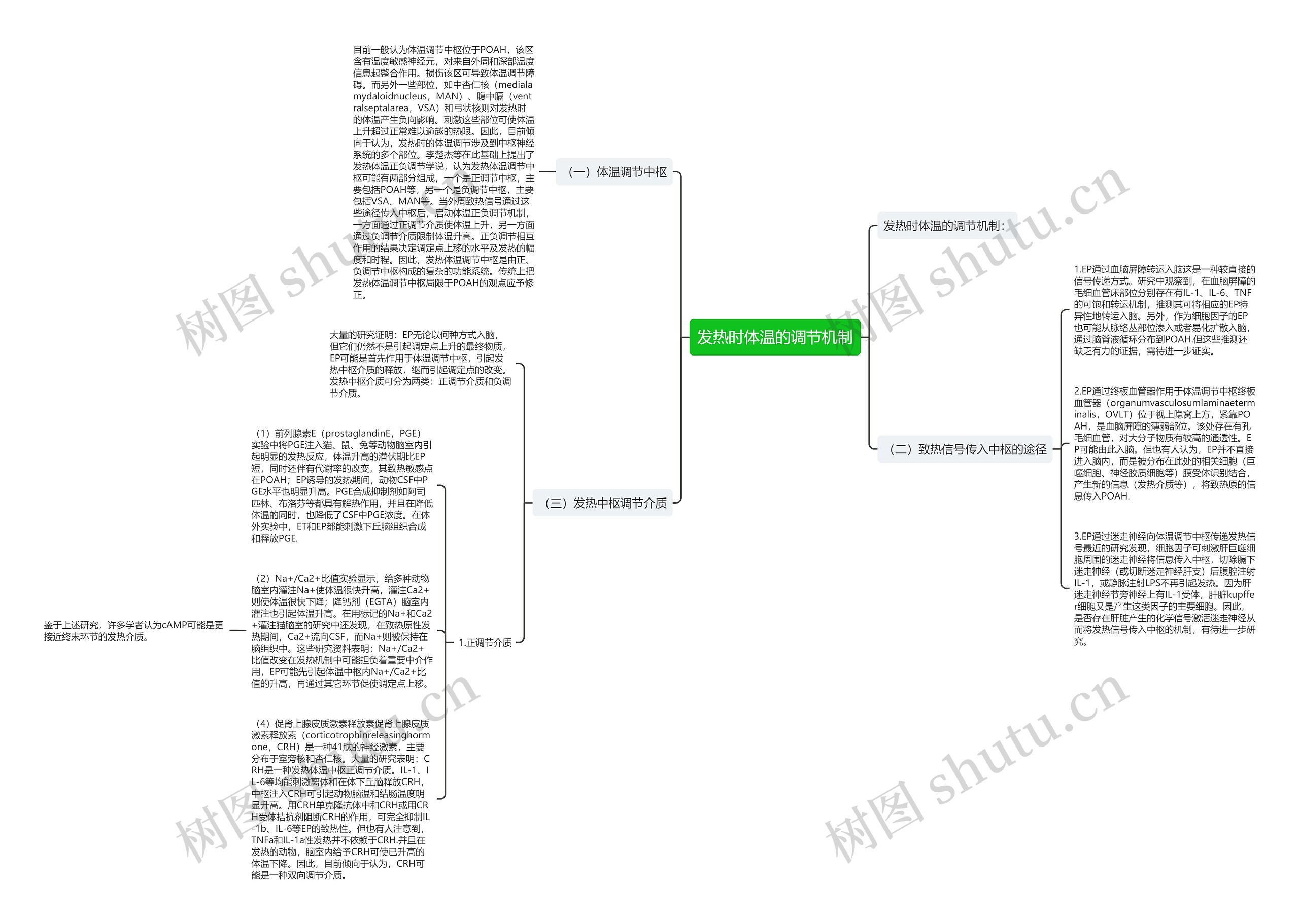 发热时体温的调节机制思维导图