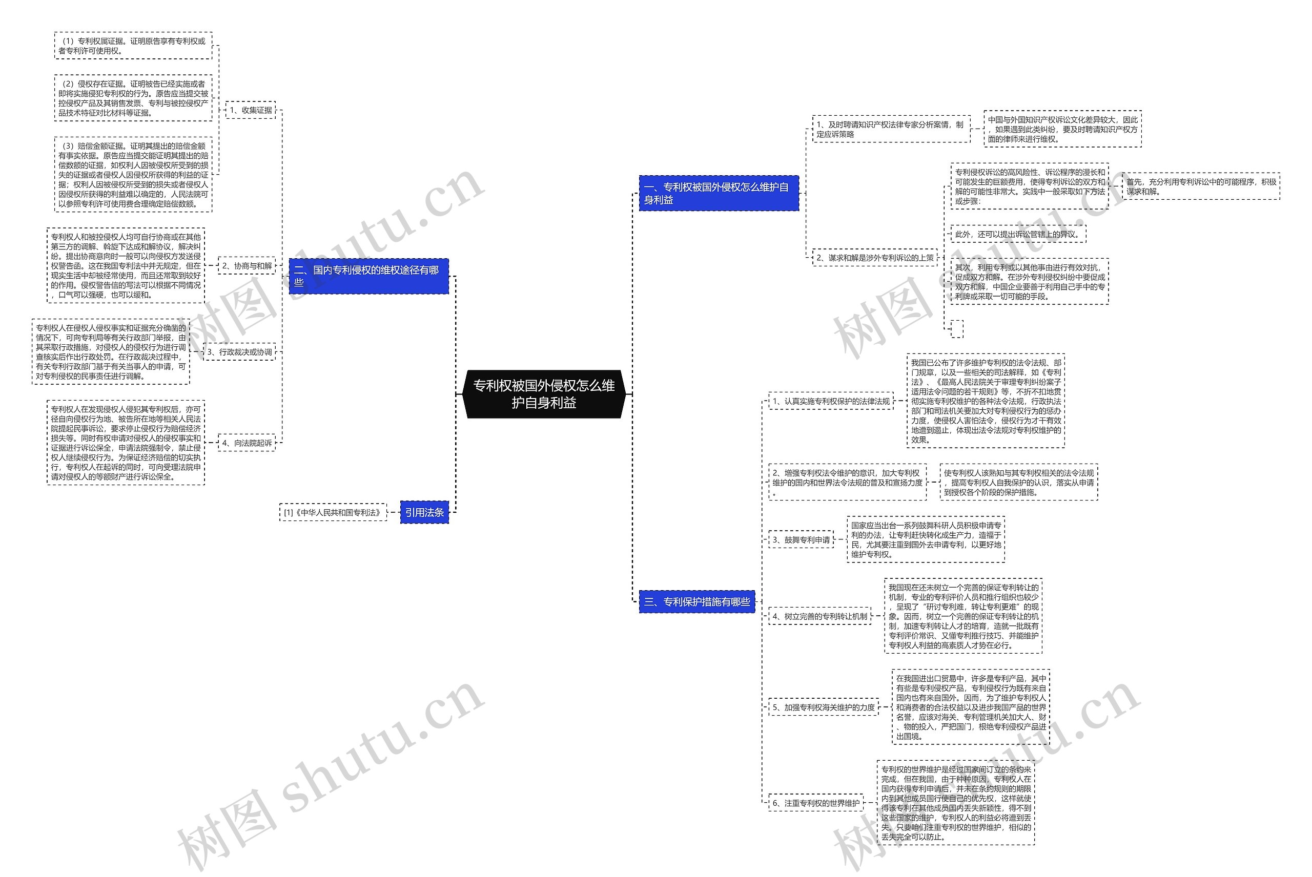 专利权被国外侵权怎么维护自身利益思维导图