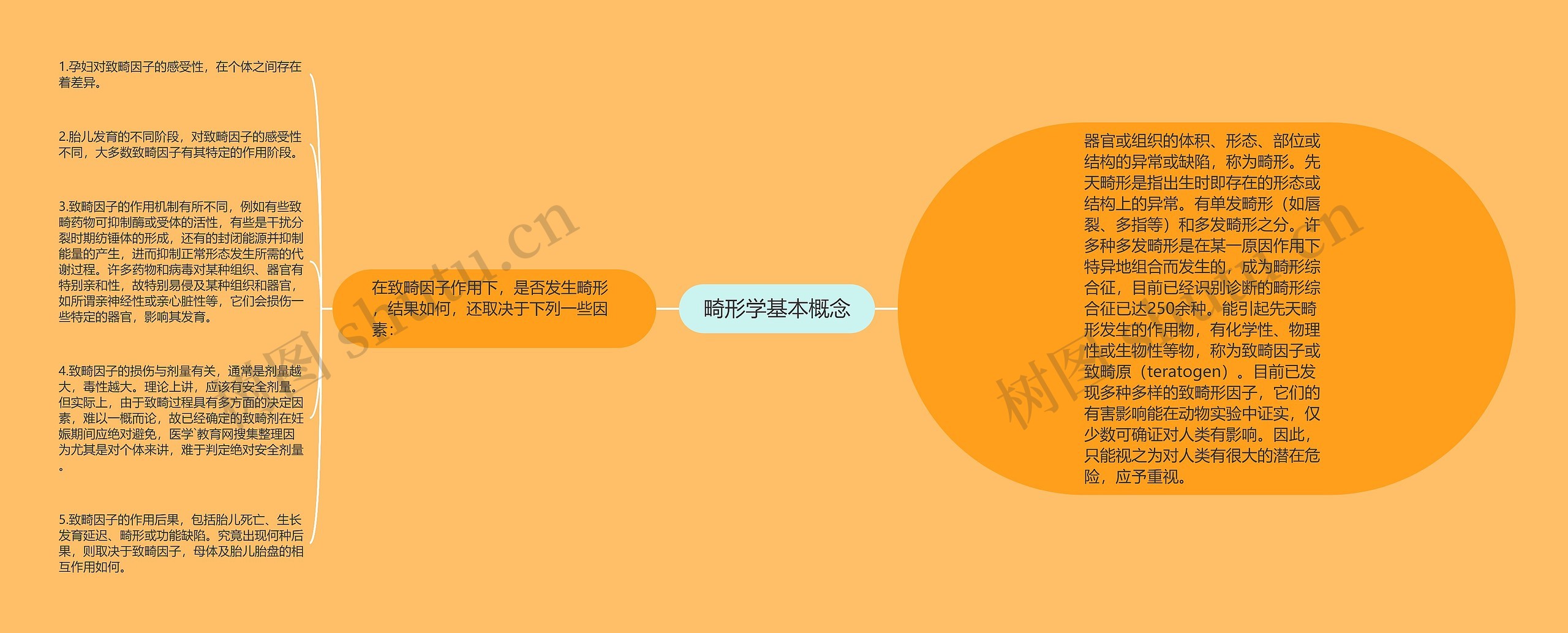 畸形学基本概念思维导图高清图 畸形学基本概念思维导图