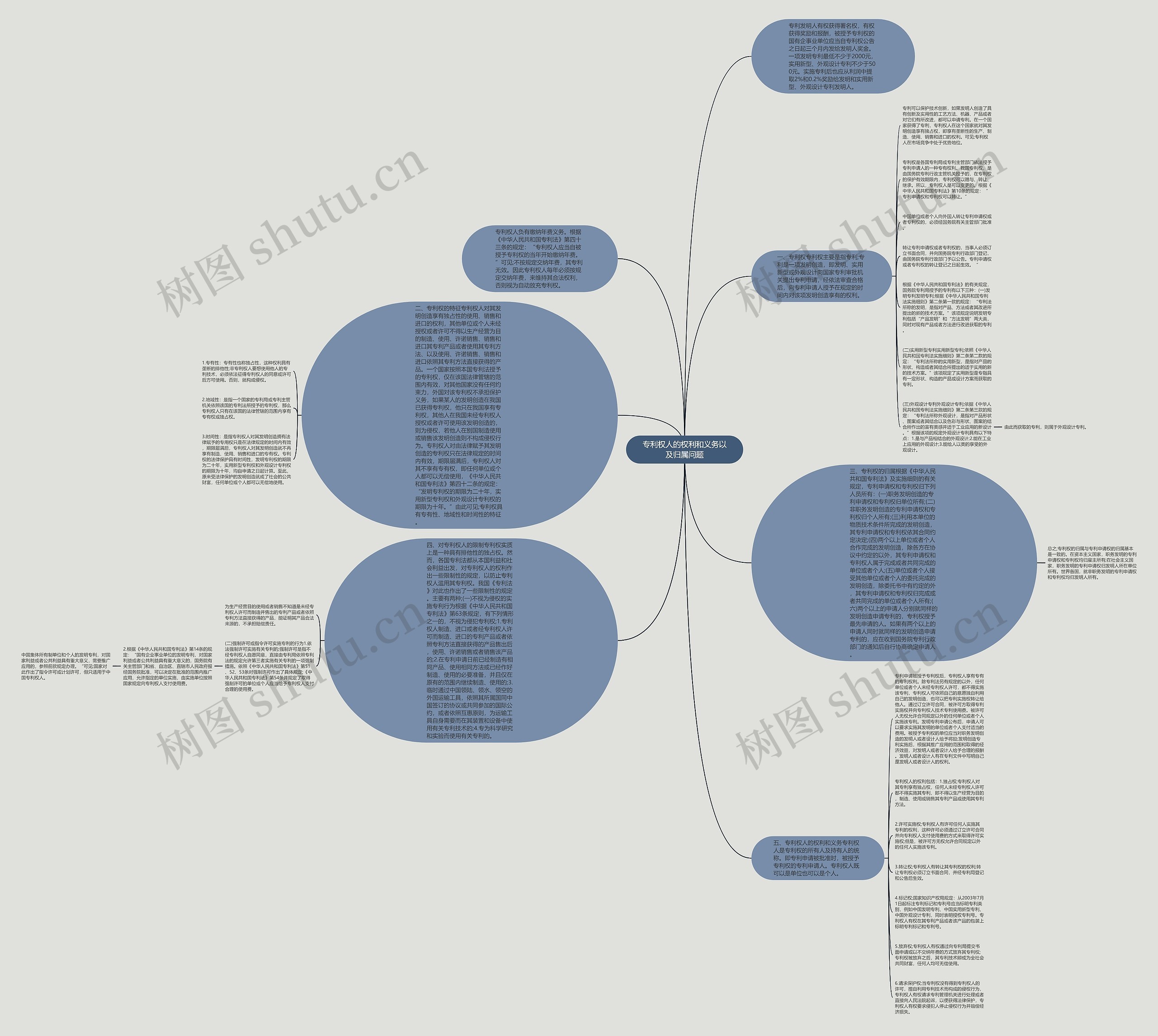 专利权人的权利和义务以及归属问题思维导图