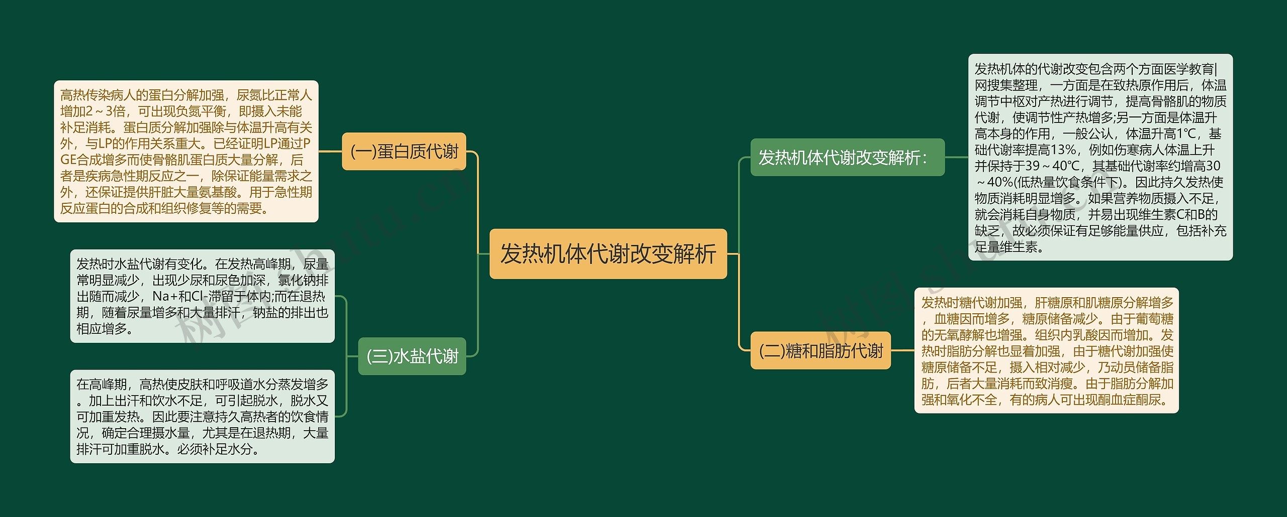 发热机体代谢改变解析