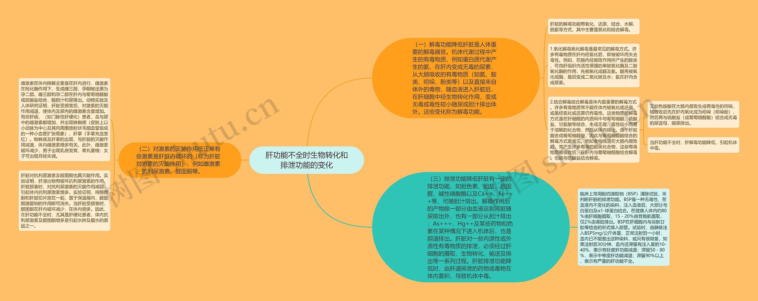 肝功能不全时生物转化和排泄功能的变化思维导图