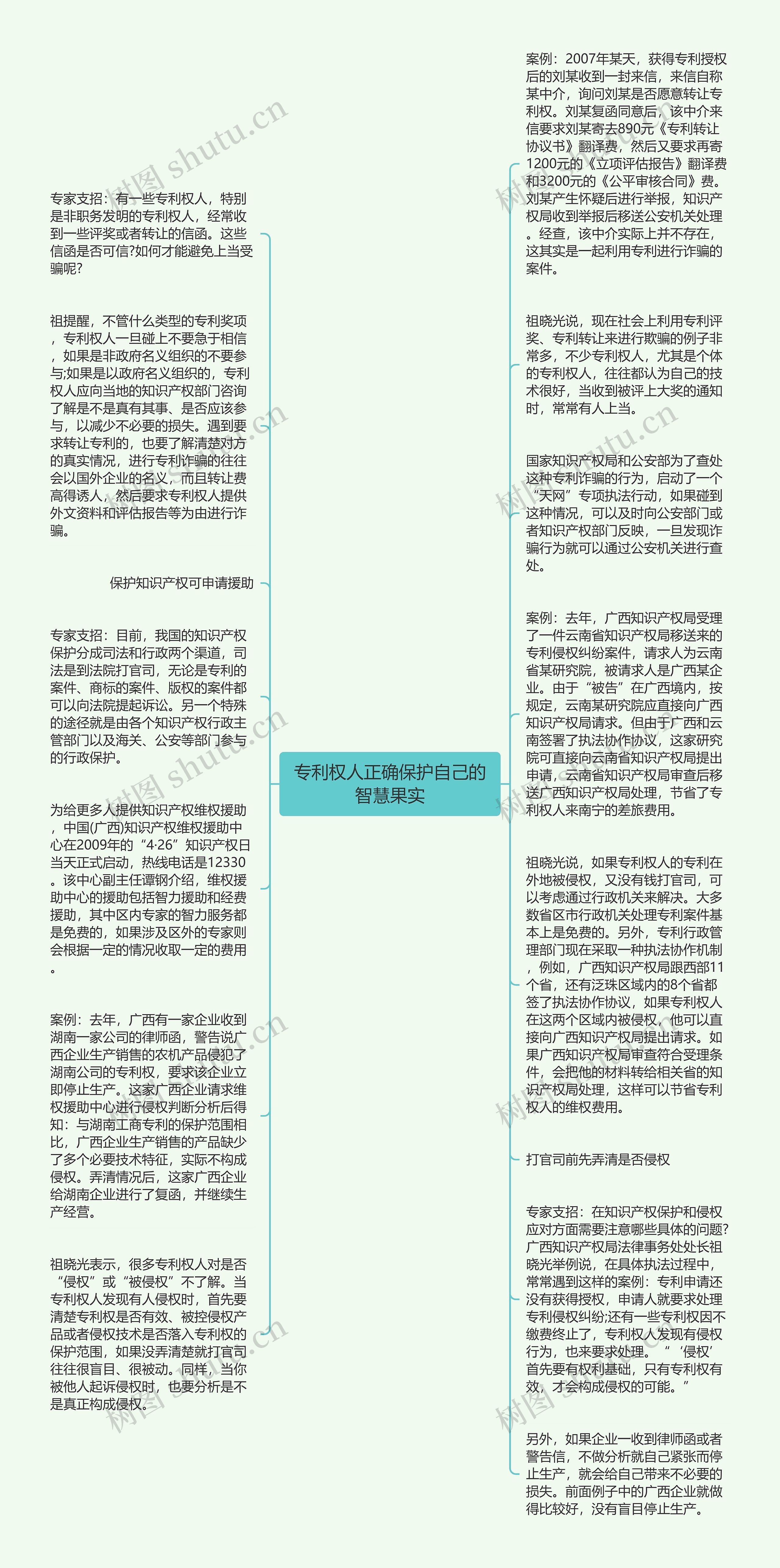 专利权人正确保护自己的智慧果实思维导图