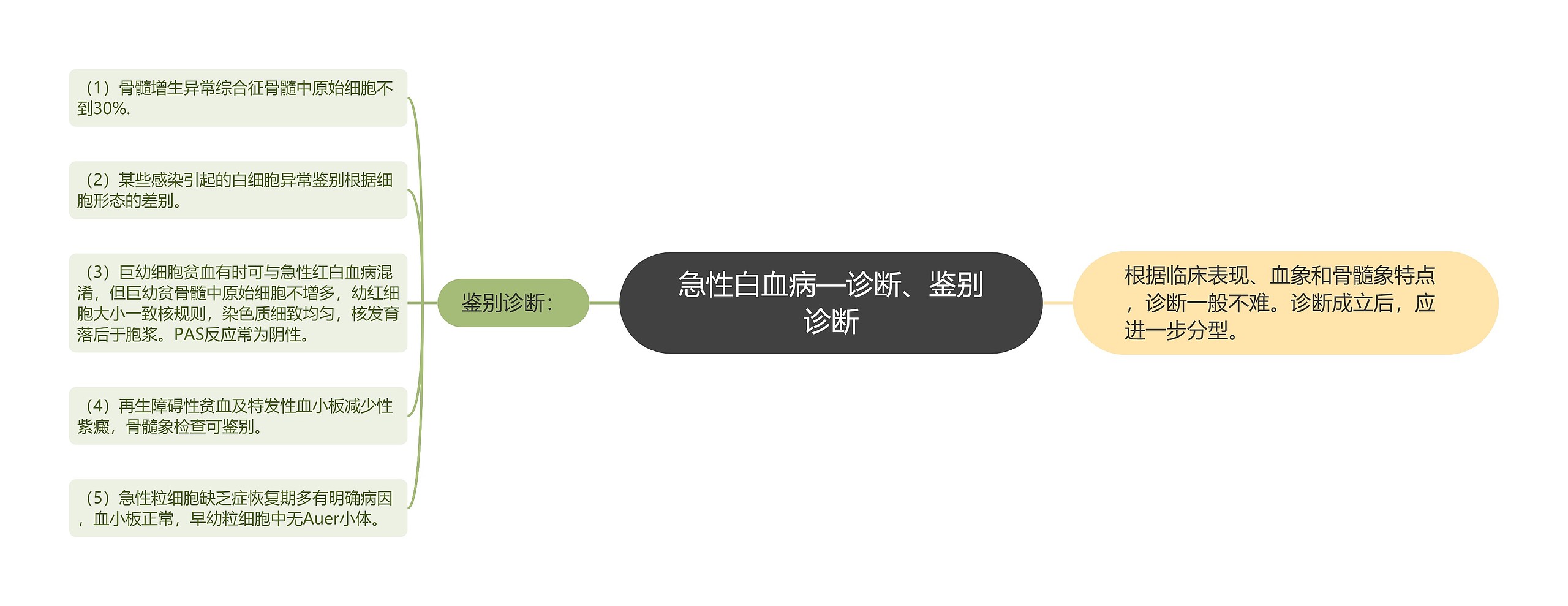 急性白血病—诊断、鉴别诊断 急性白血病—诊断、鉴别诊断
