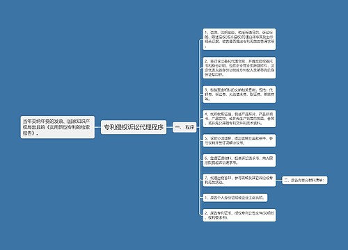 专利侵权诉讼代理程序