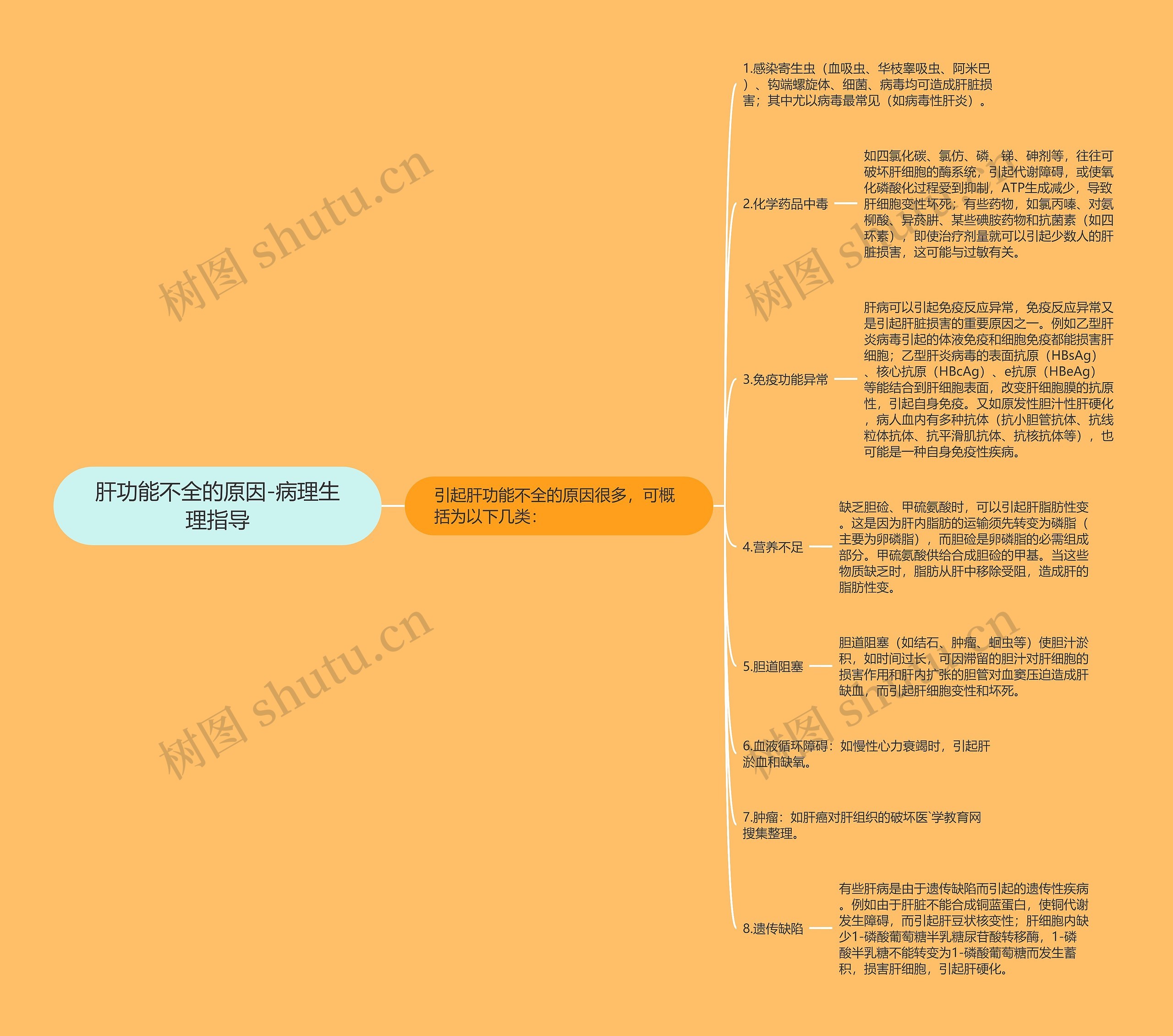 肝功能不全的原因-病理生理指导思维导图