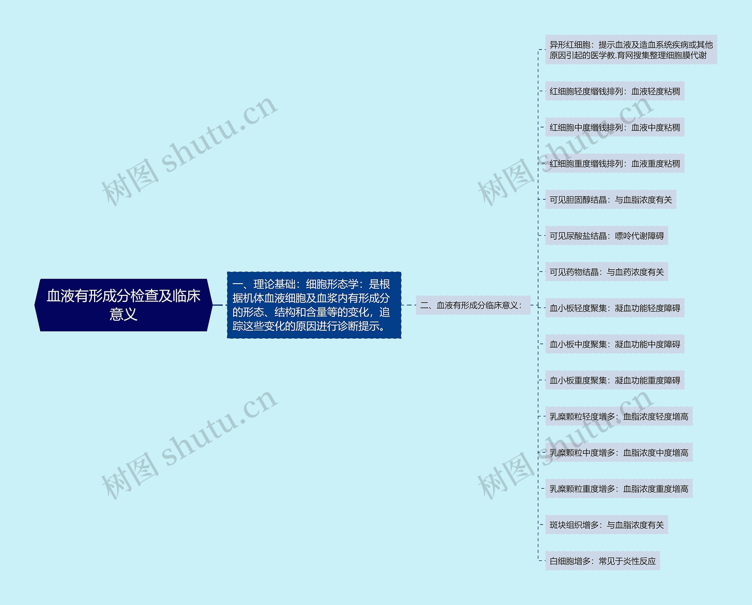 血液有形成分检查及临床意义