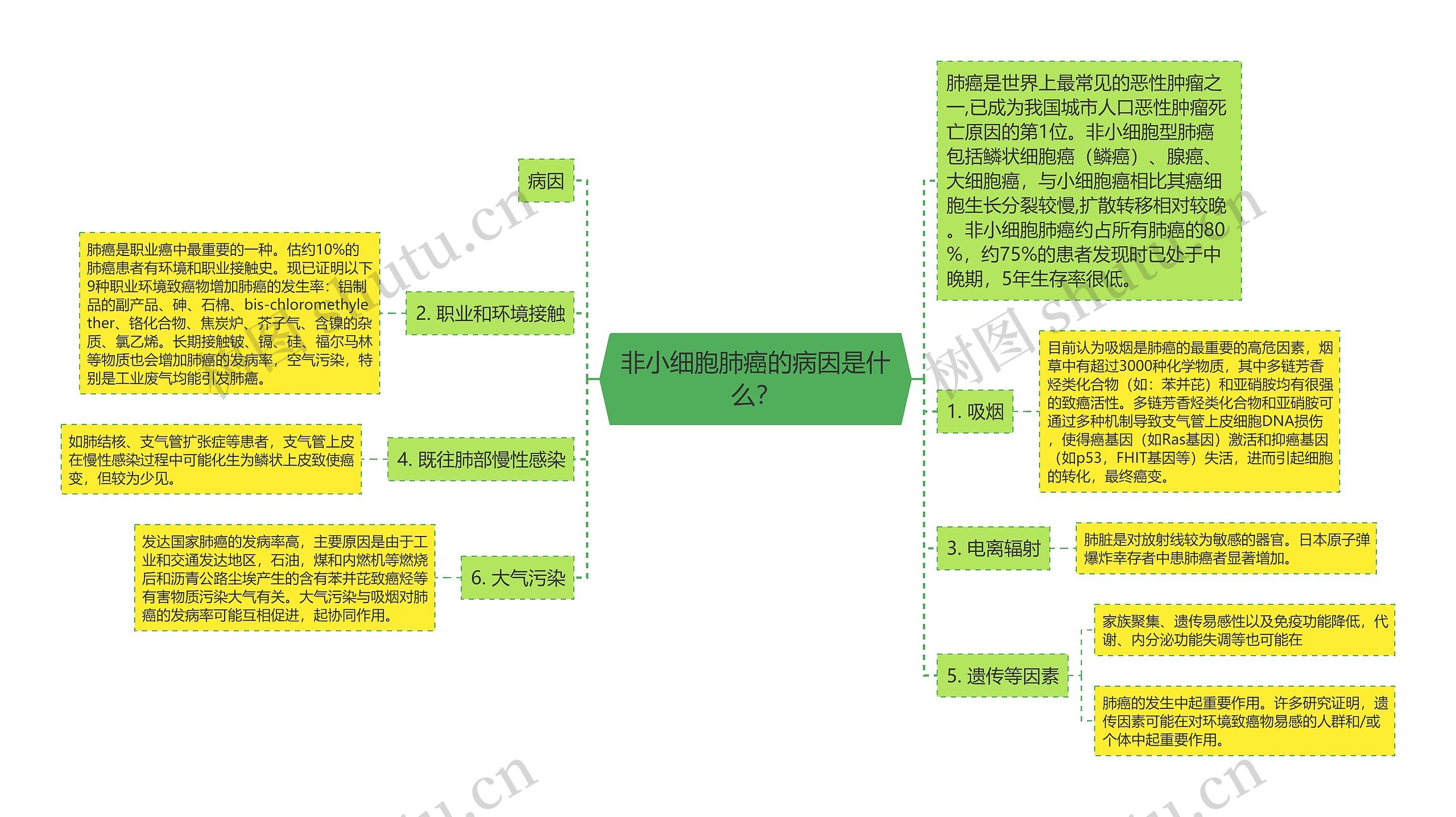 非小细胞肺癌的病因是什么？