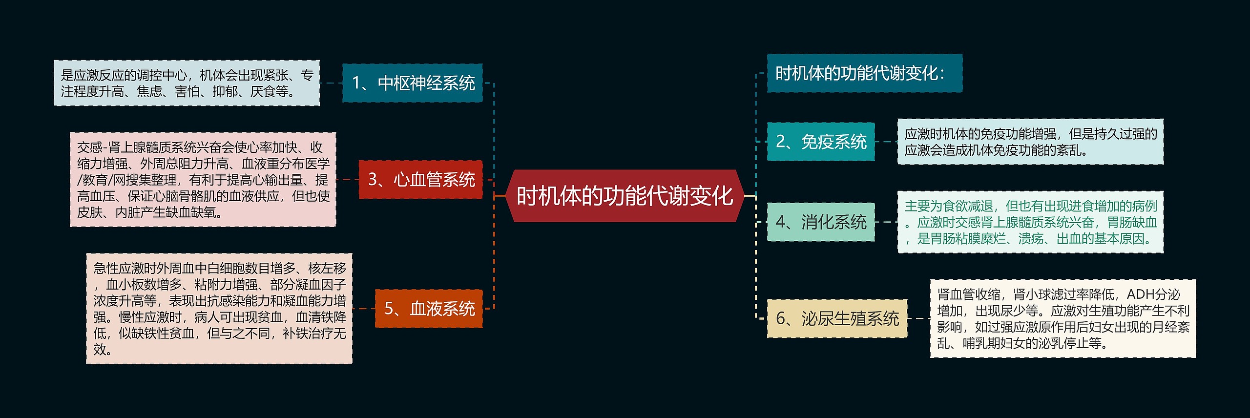 时机体的功能代谢变化思维导图