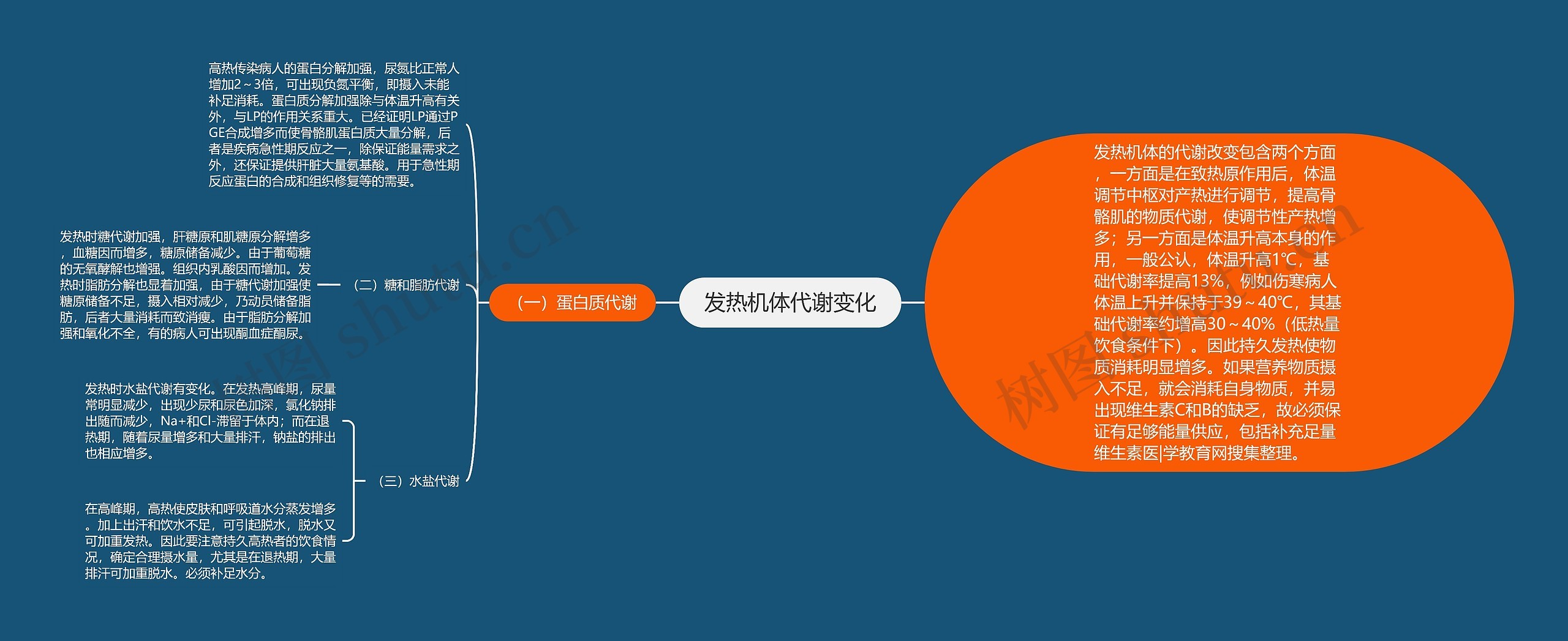 发热机体代谢变化思维导图