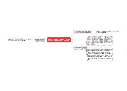 葡萄球菌微生物学的诊断